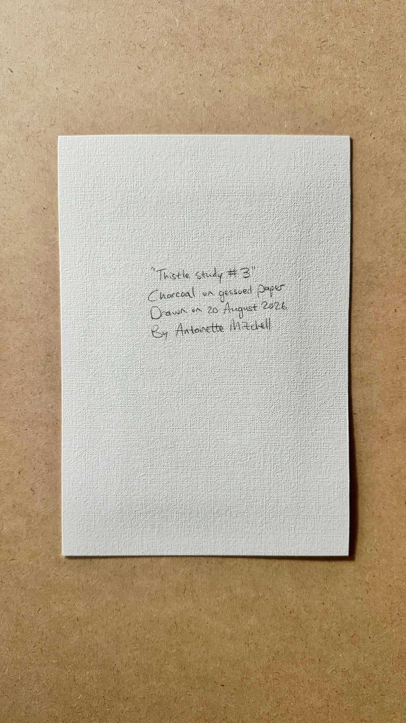 Antoinette_Mitchell_Artist_Thistle_Study3_d.jpg