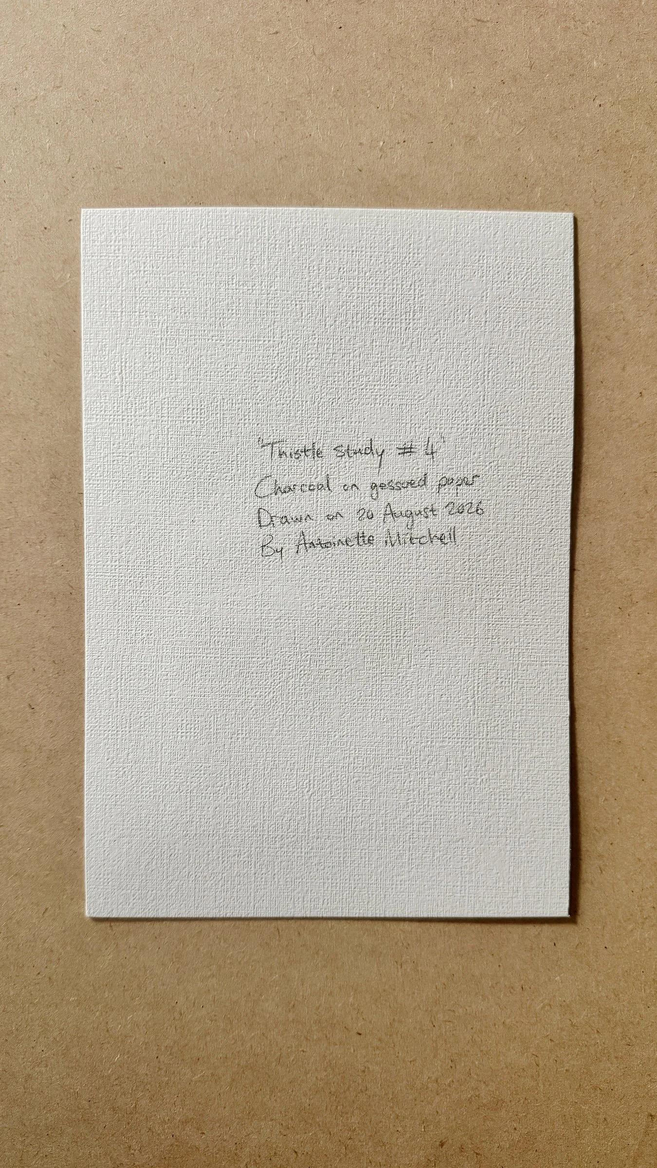Antoinette_Mitchell_Artist_Thistle_Study4_e.jpg