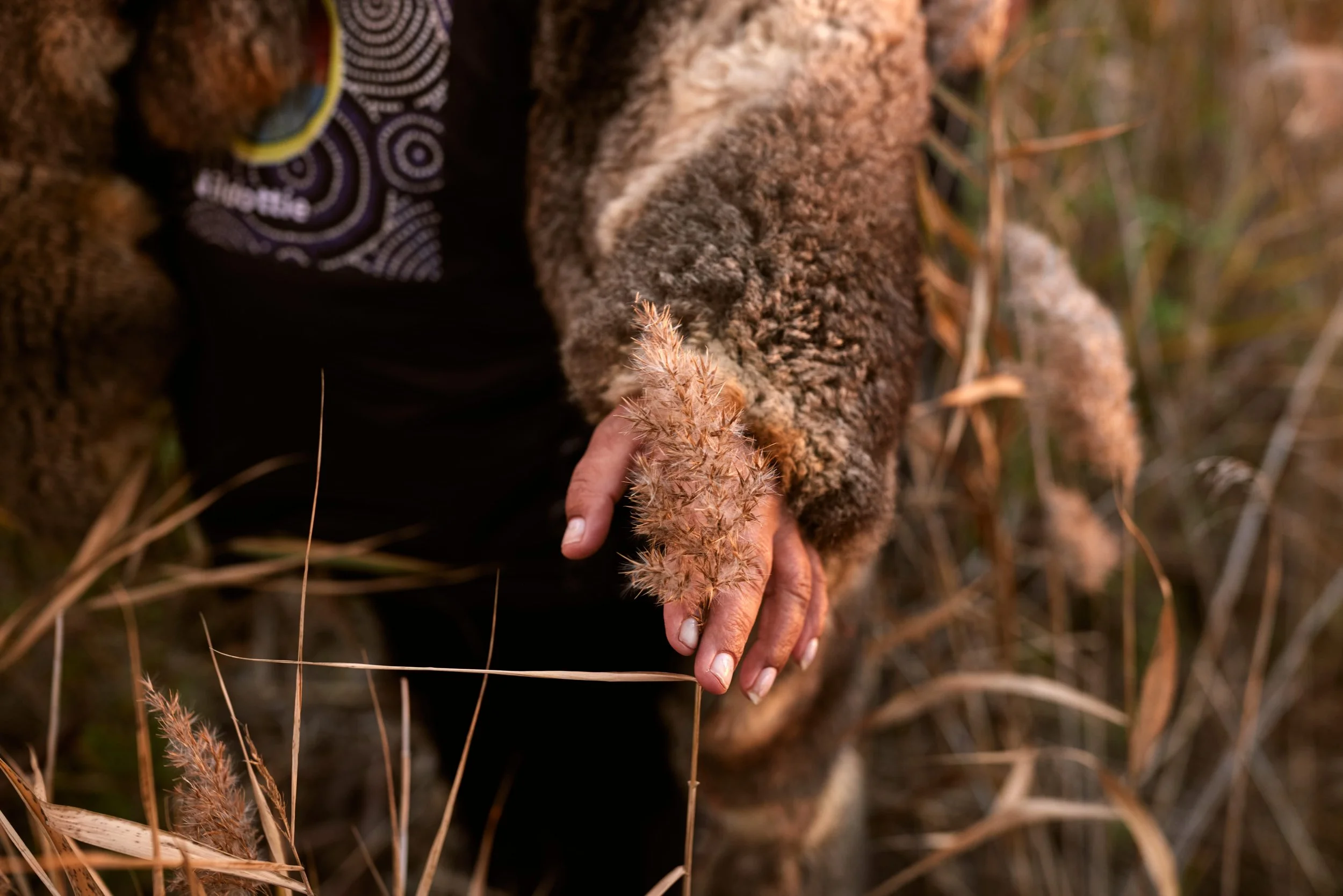 Close-up of a person in a fur coat reaching out to touch dry grass in a field.