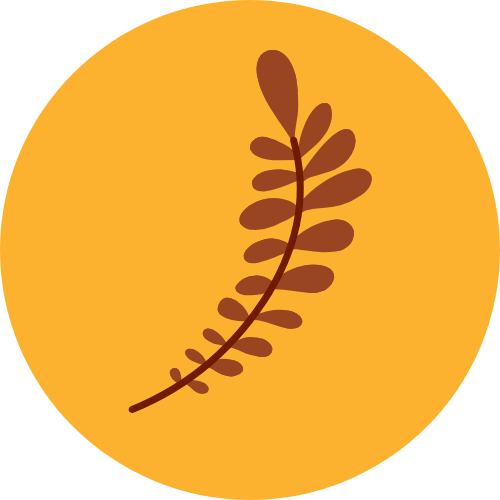Illustration of a brown fern branch on a yellow circular background.