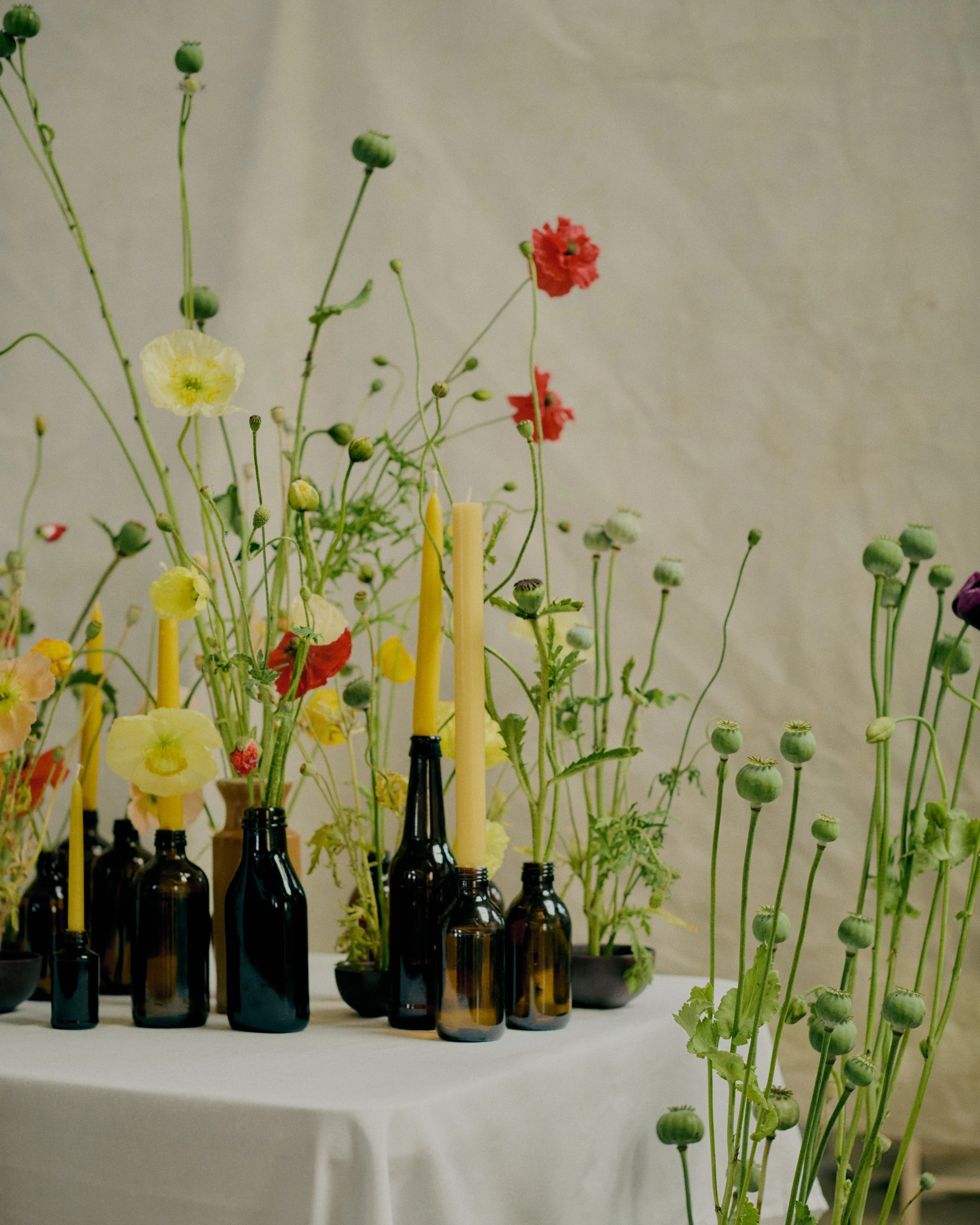 261801_FLOWERSONTHEEDGE_TILLYWACE_1701.jpg