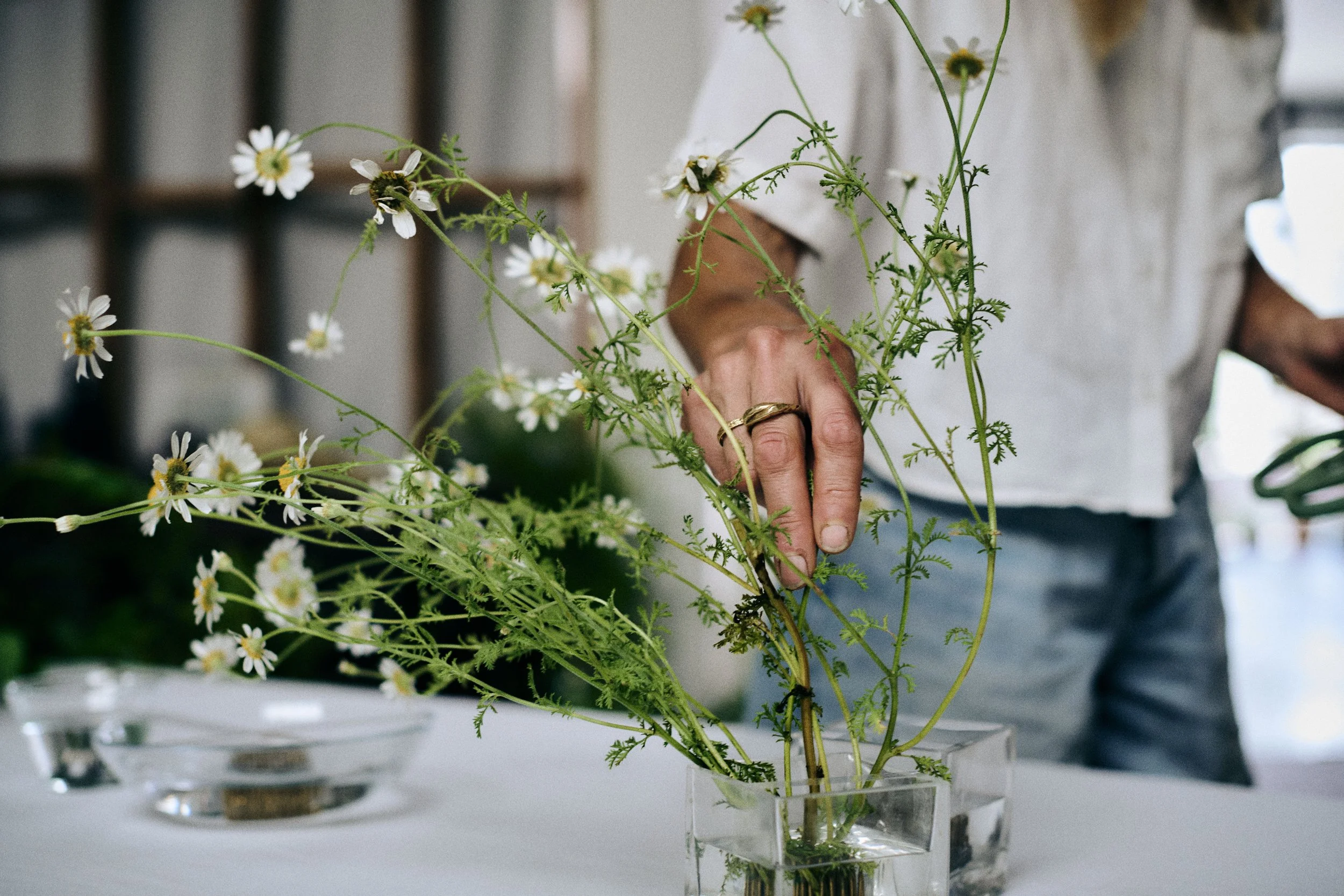 261801_FLOWERSONTHEEDGE_TILLYWACE_0623.jpg