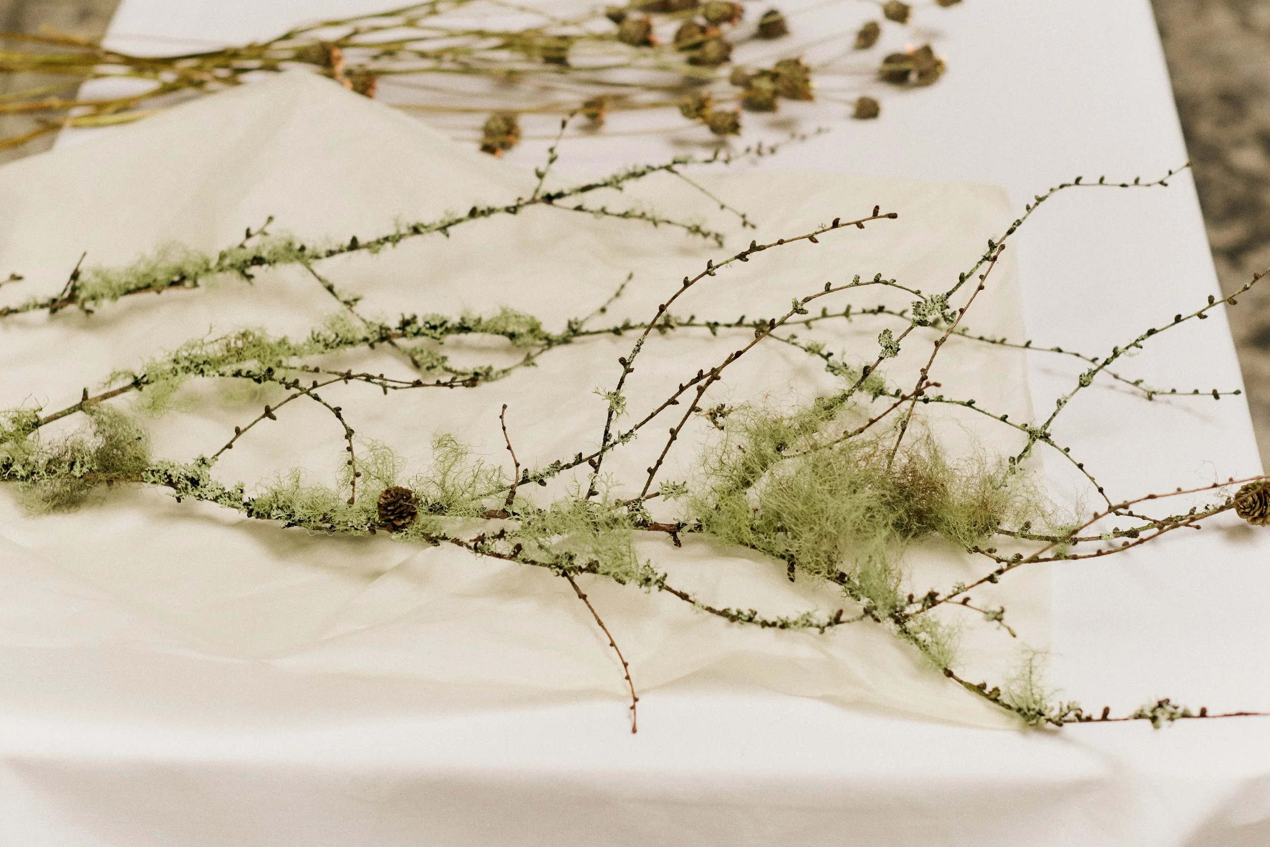 261801_FLOWERSONTHEEDGE_TILLYWACE_0351.jpg
