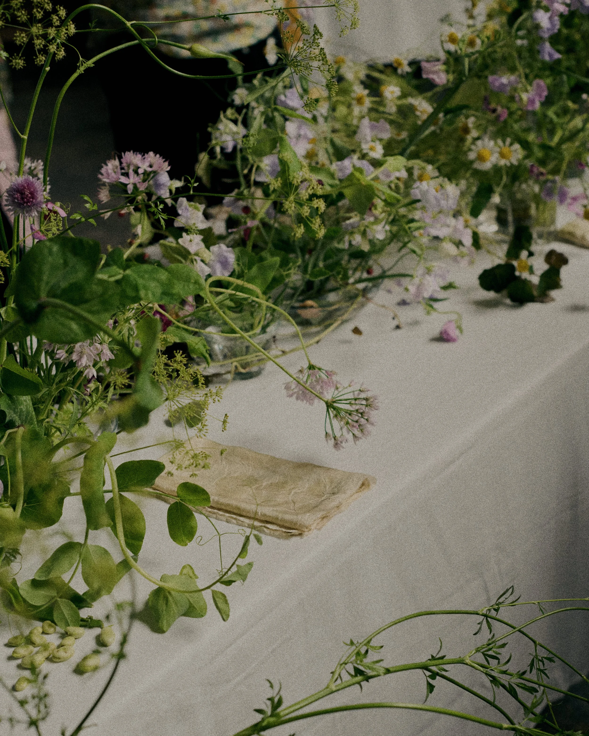 261801_FLOWERSONTHEEDGE_TILLYWACE_1284.jpg