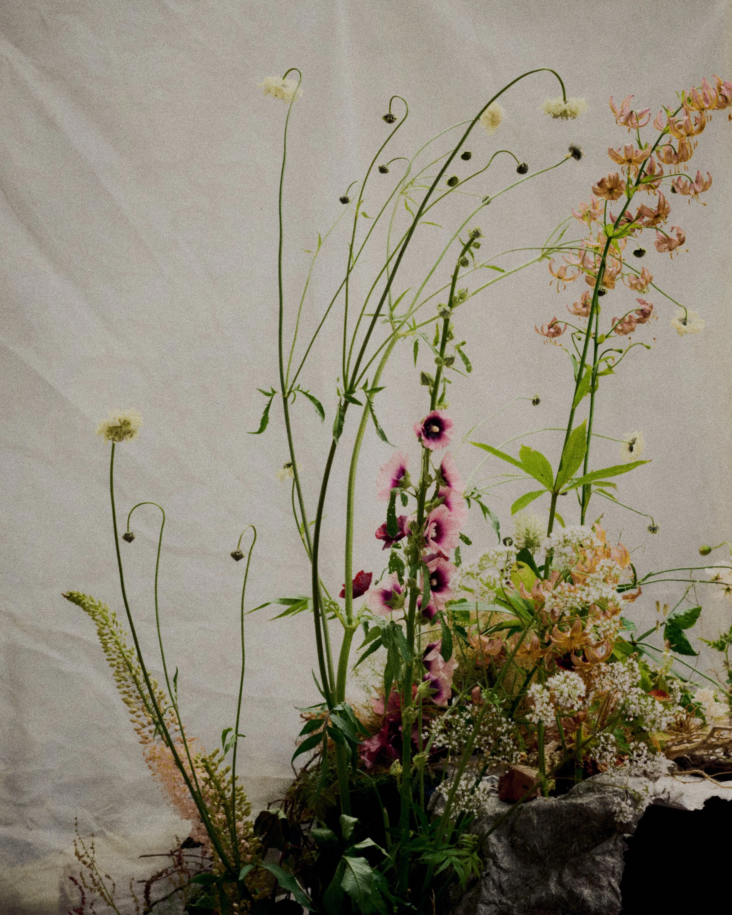 261801_FLOWERSONTHEEDGE_TILLYWACE_0917.jpg
