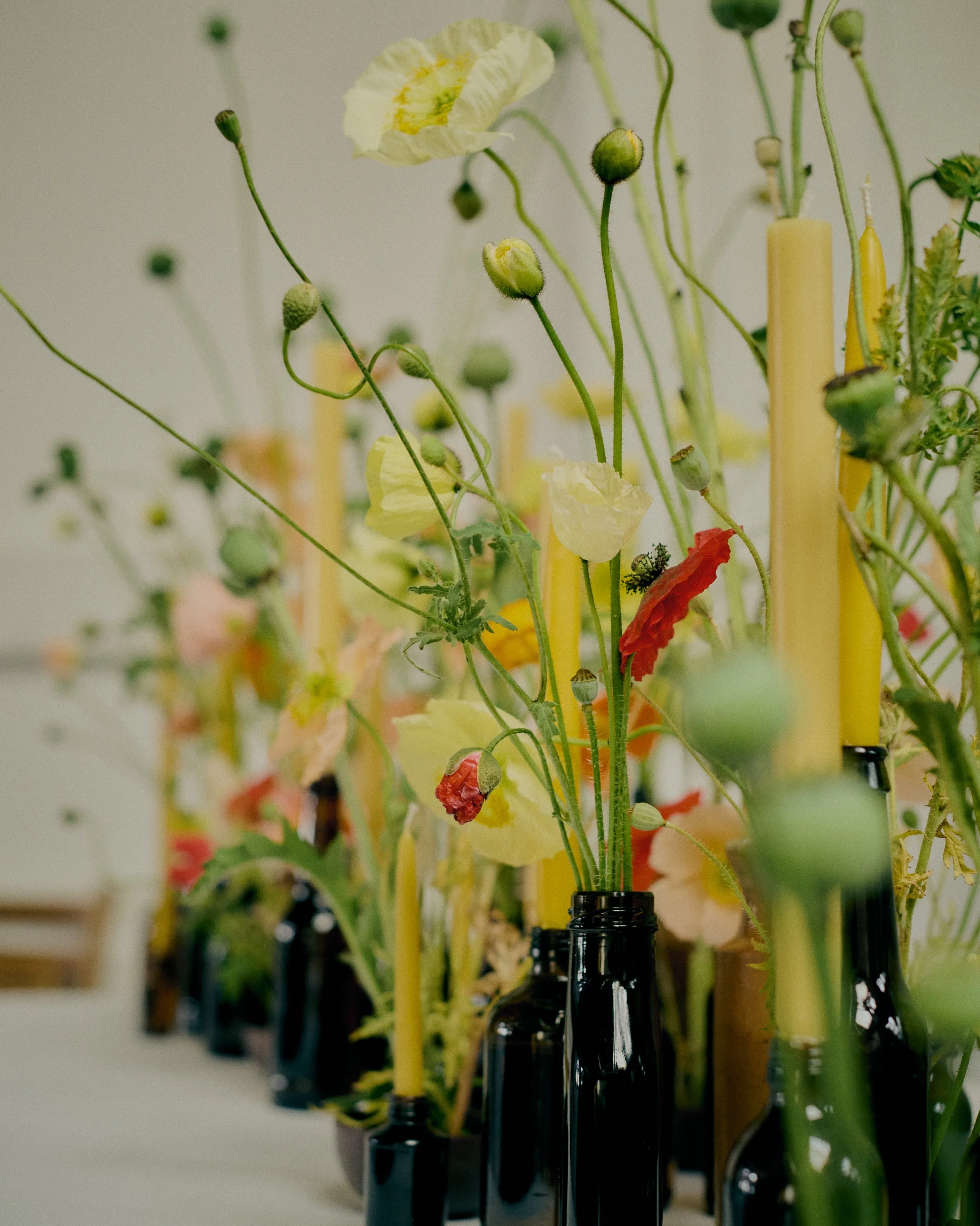 261801_FLOWERSONTHEEDGE_TILLYWACE_1712.jpg