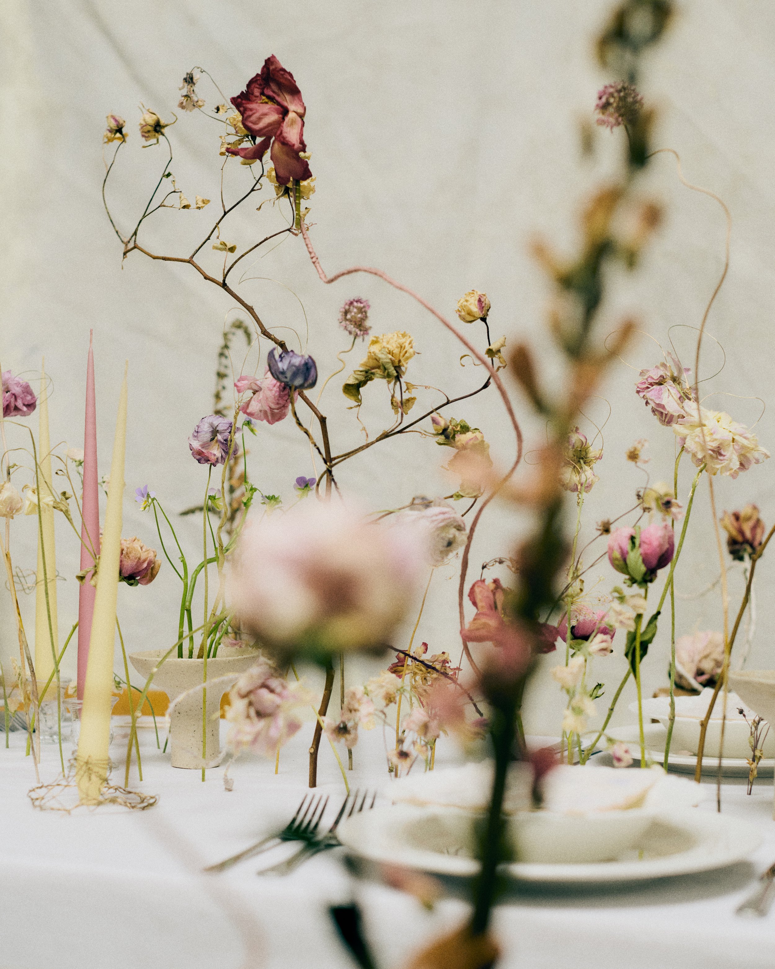 261801_FLOWERSONTHEEDGE_TILLYWACE_1130.jpg