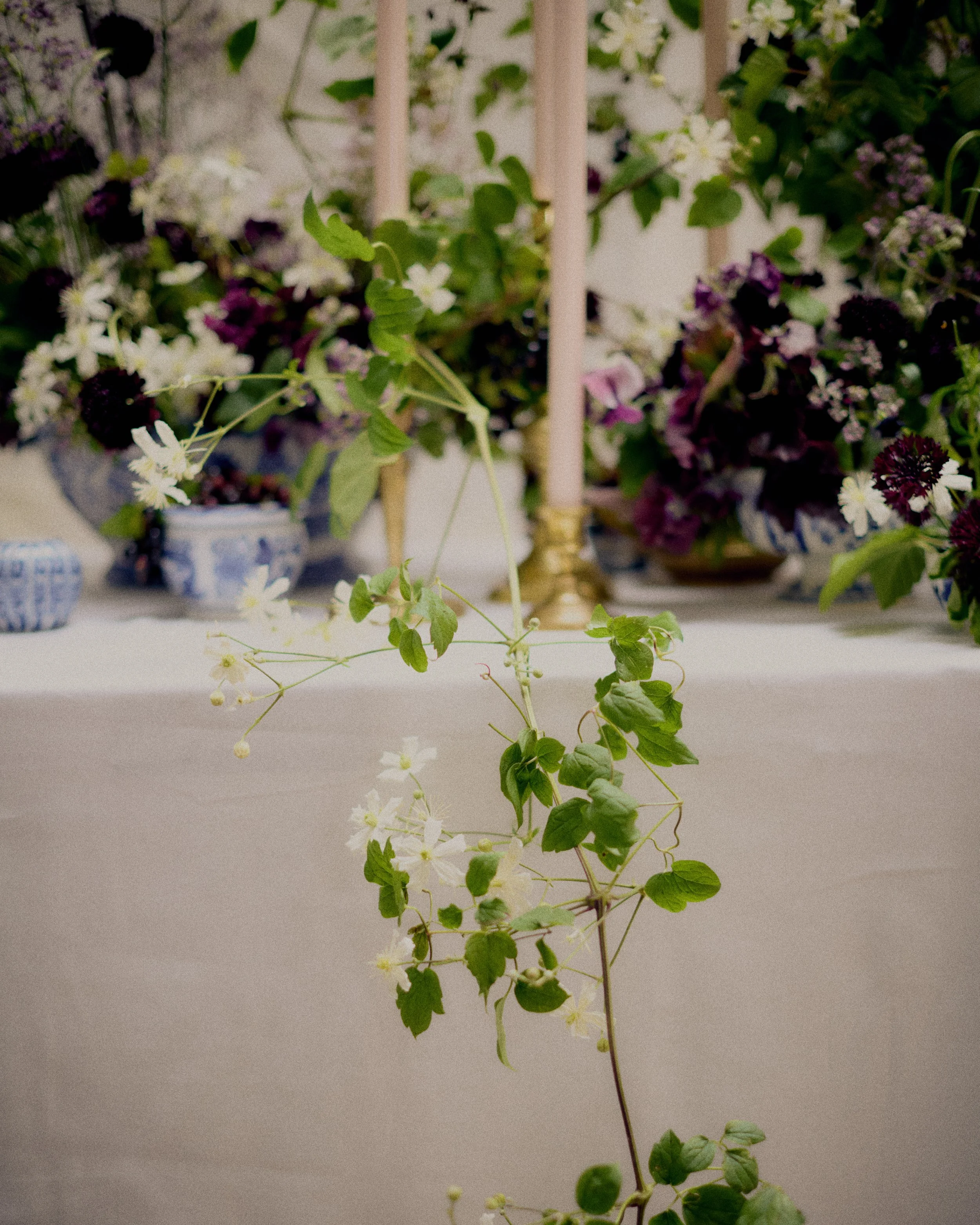 261801_FLOWERSONTHEEDGE_TILLYWACE_1647.jpg