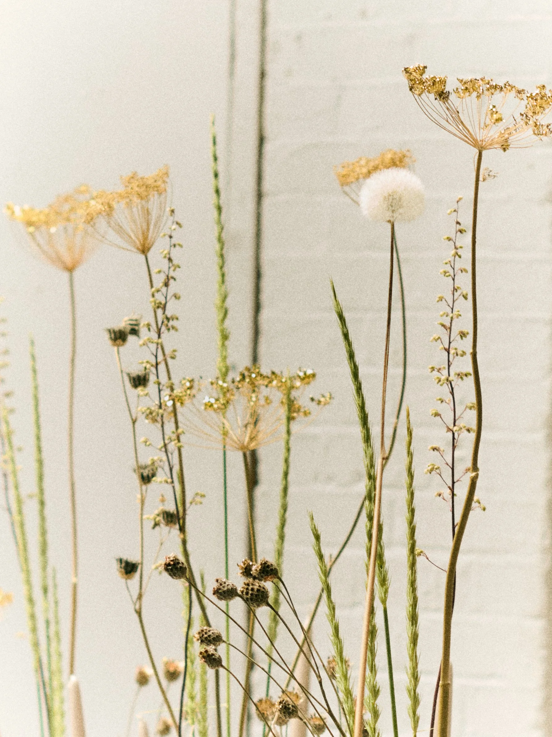 261801_FLOWERSONTHEEDGE_TILLYWACE_0780.jpg