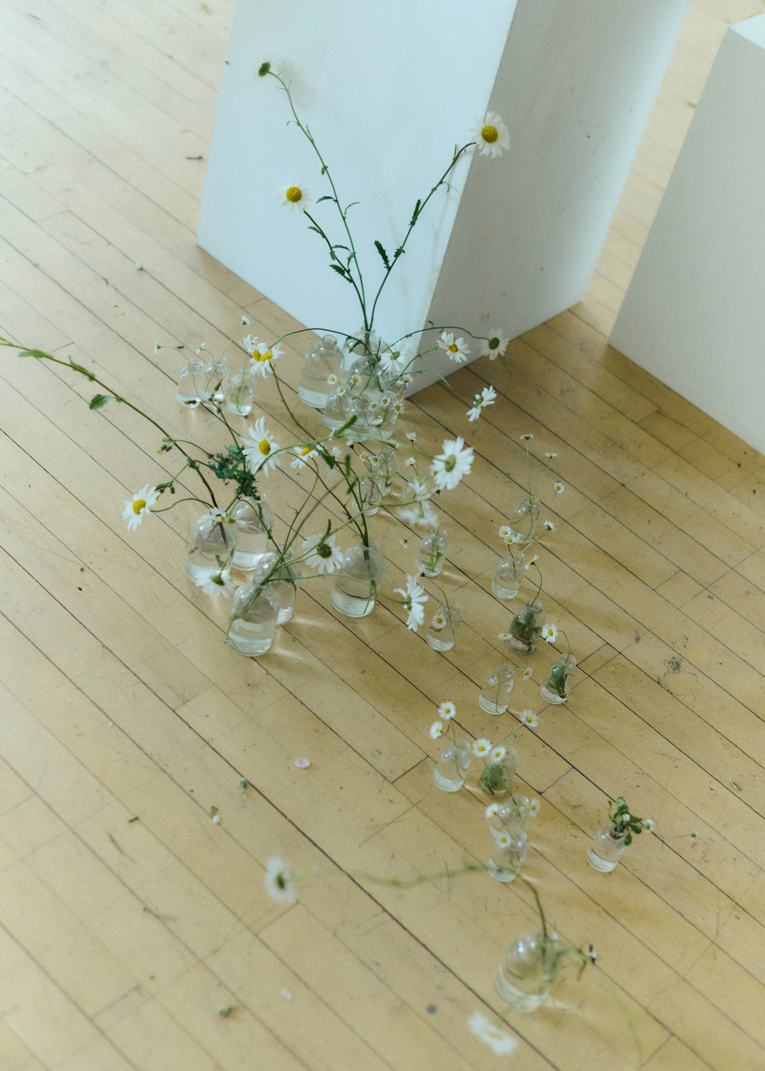 Copy of 259619_FlowersOnTheEdge_0596.jpg