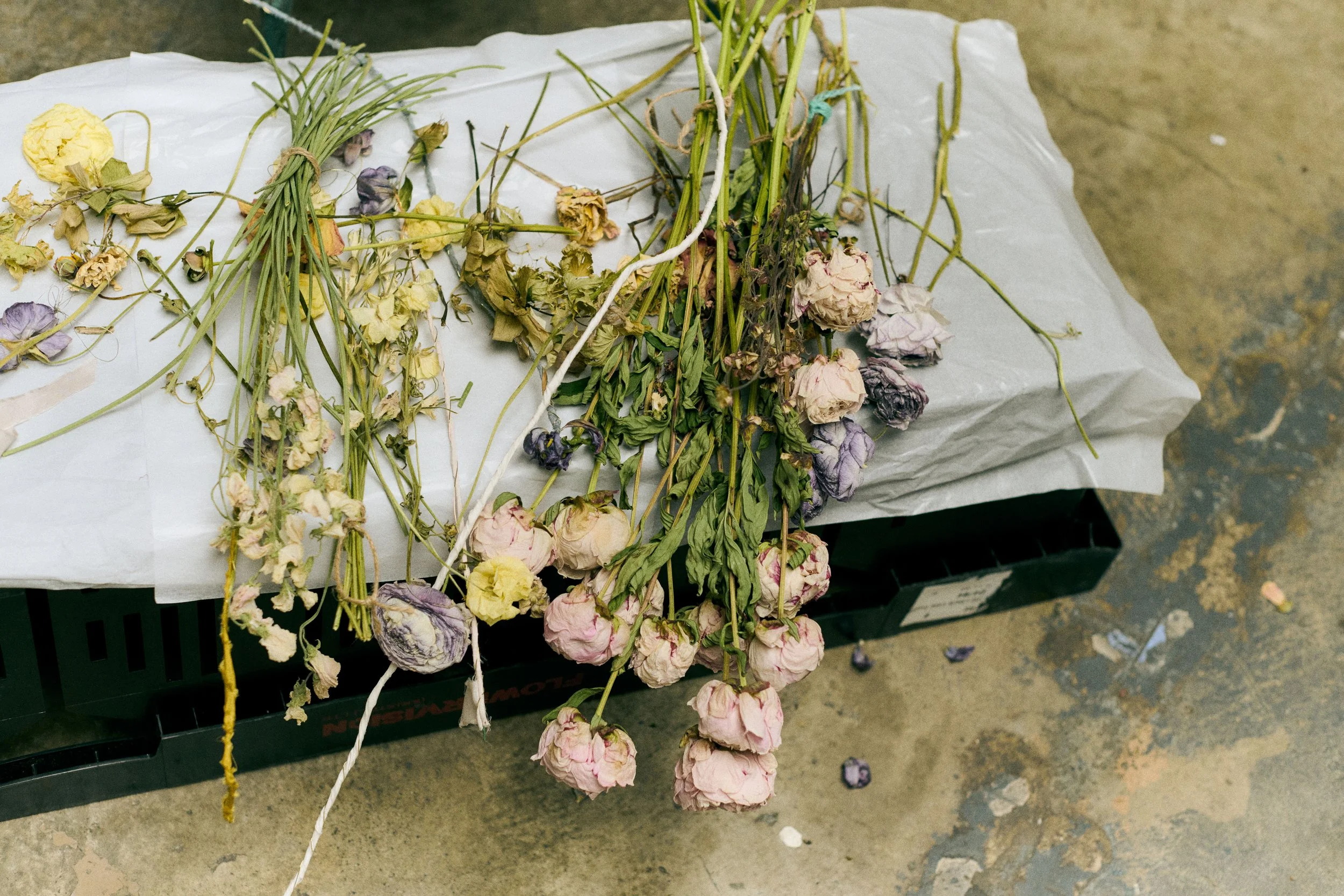 261801_FLOWERSONTHEEDGE_TILLYWACE_0786.jpg