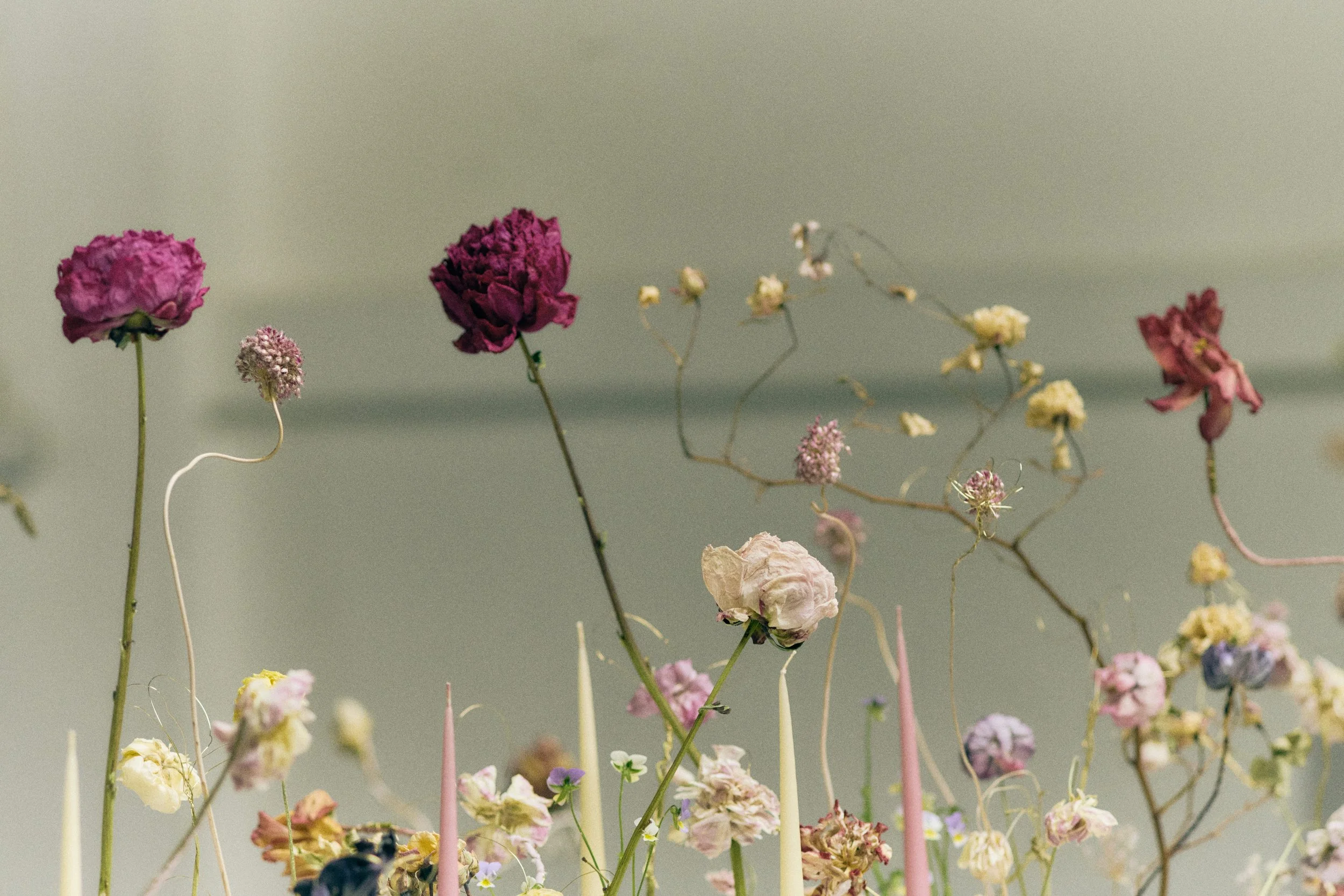 261801_FLOWERSONTHEEDGE_TILLYWACE_1428.jpg