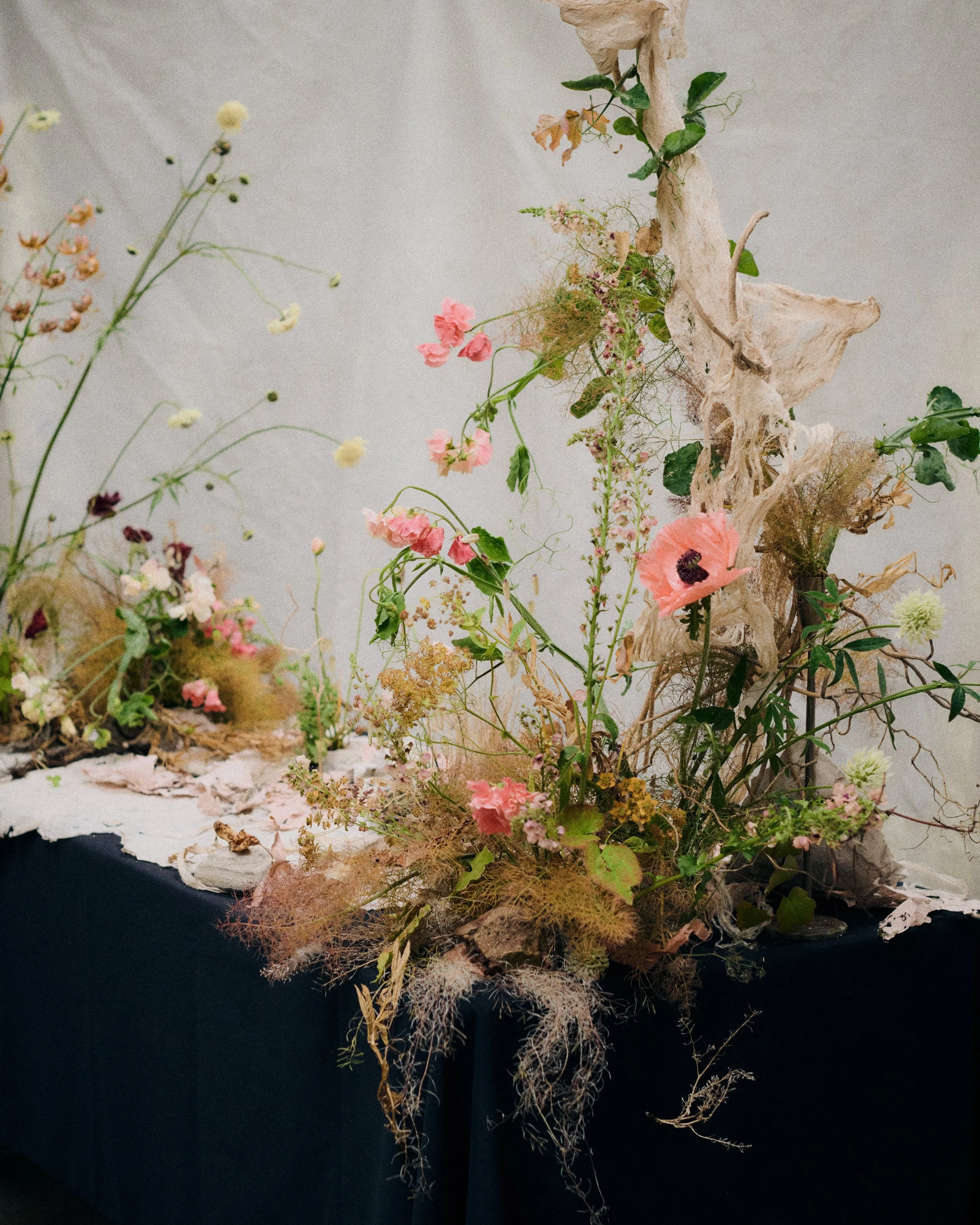 261801_FLOWERSONTHEEDGE_TILLYWACE_0971.jpg