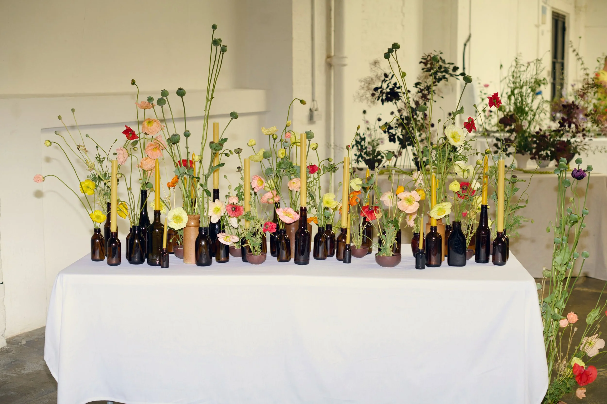 Flower Society & Clover & Tide