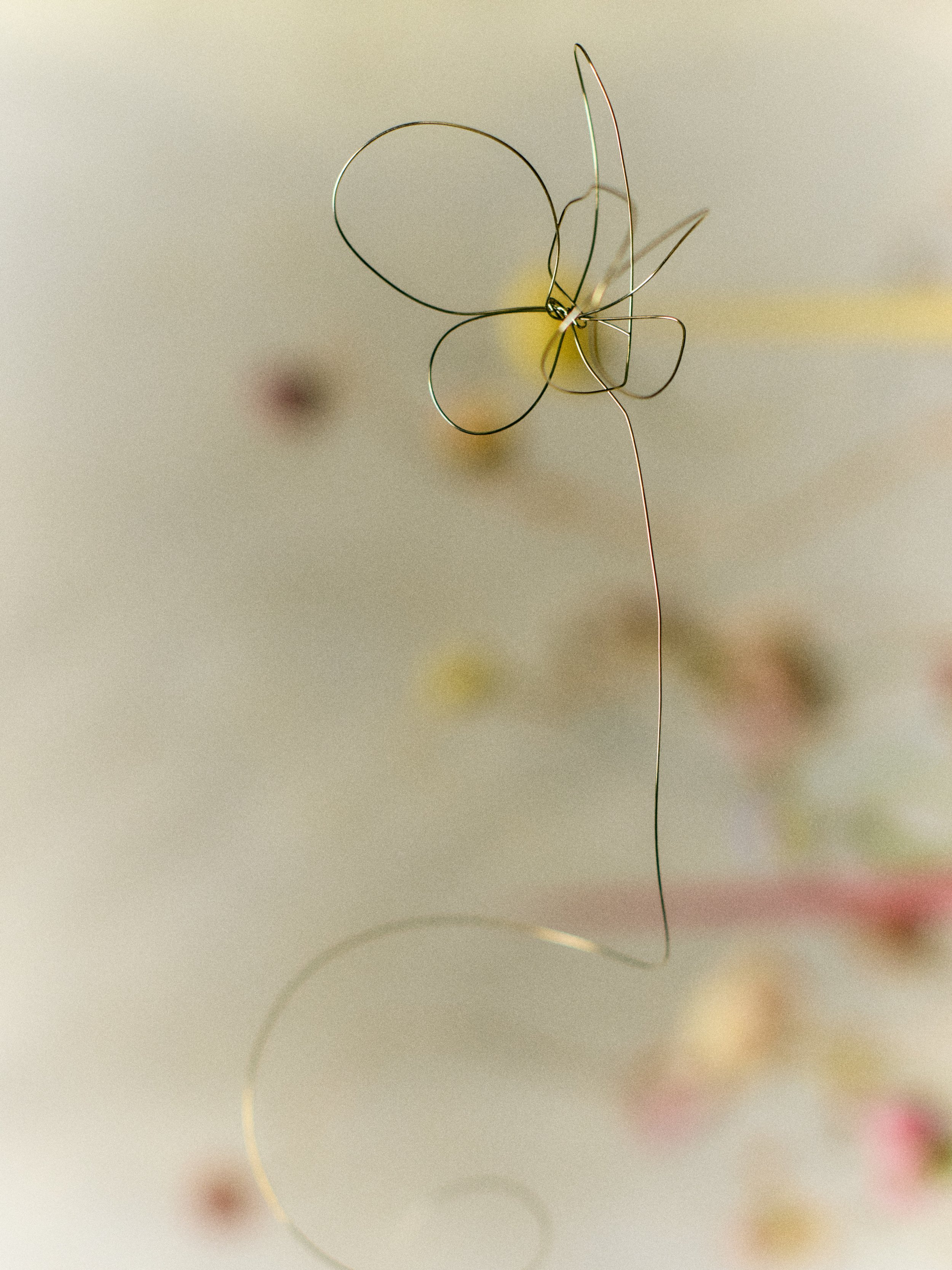 261801_FLOWERSONTHEEDGE_TILLYWACE_1126.jpg