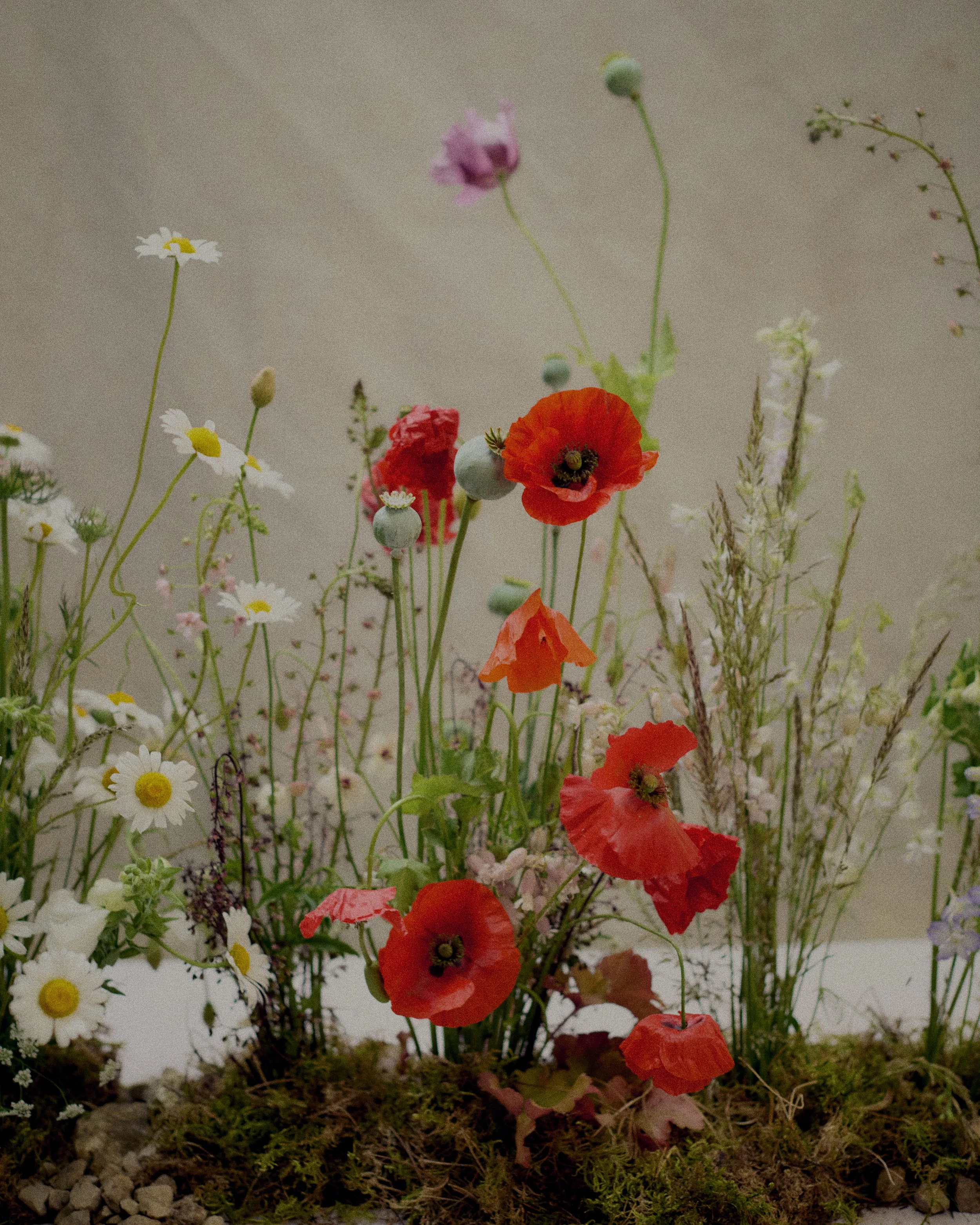 261801_FLOWERSONTHEEDGE_TILLYWACE_1739.jpg