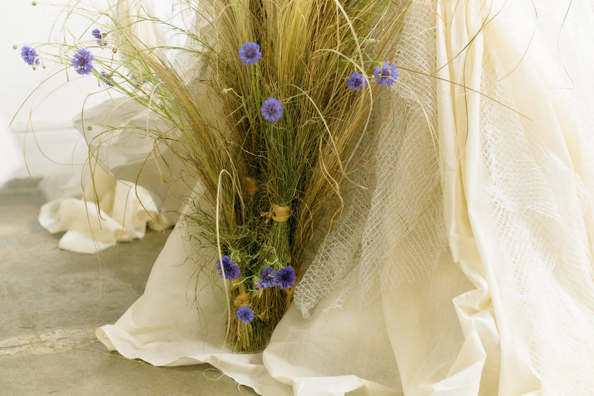 261801_FLOWERSONTHEEDGE_TILLYWACE_0857.jpg
