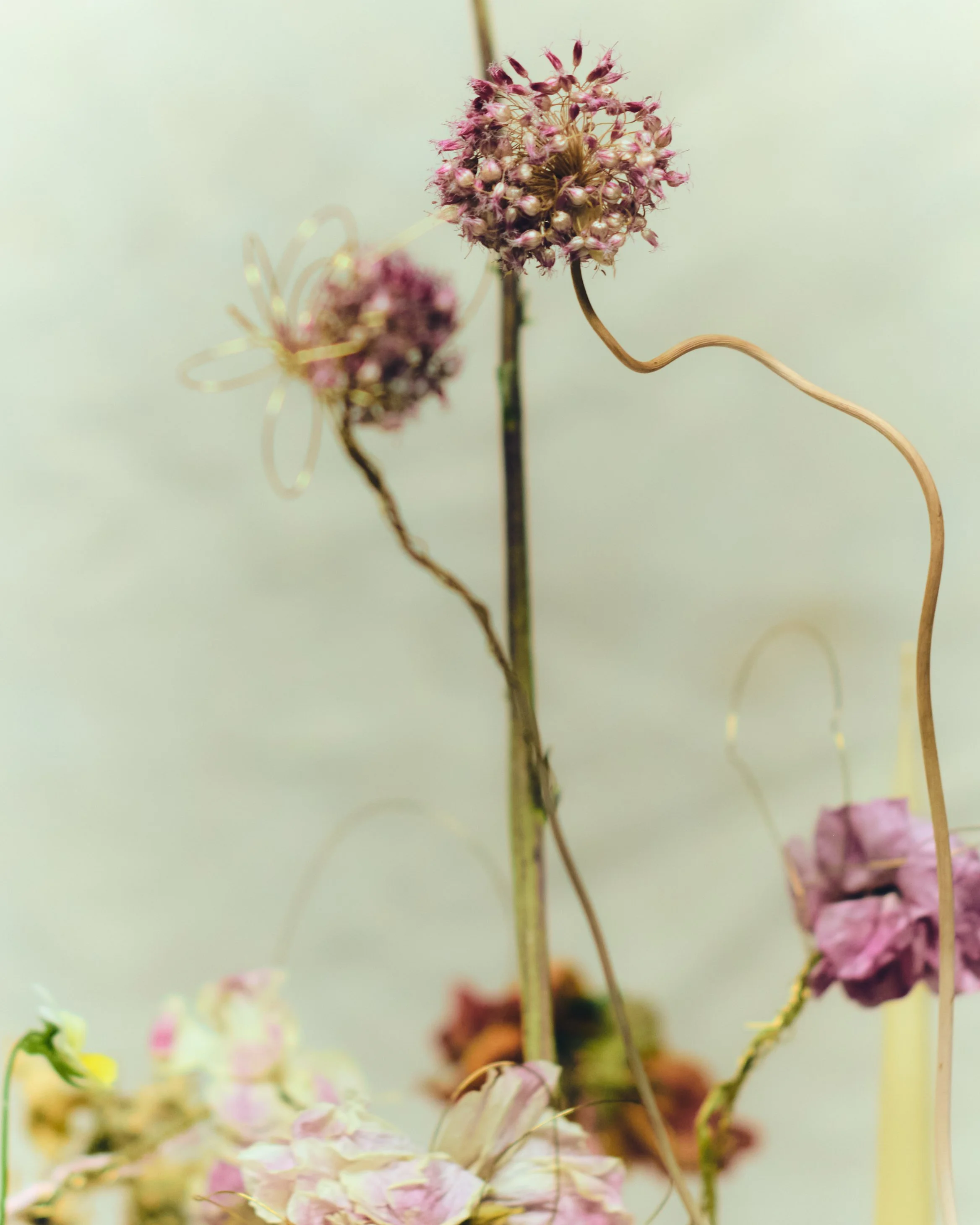 261801_FLOWERSONTHEEDGE_TILLYWACE_1884.jpg