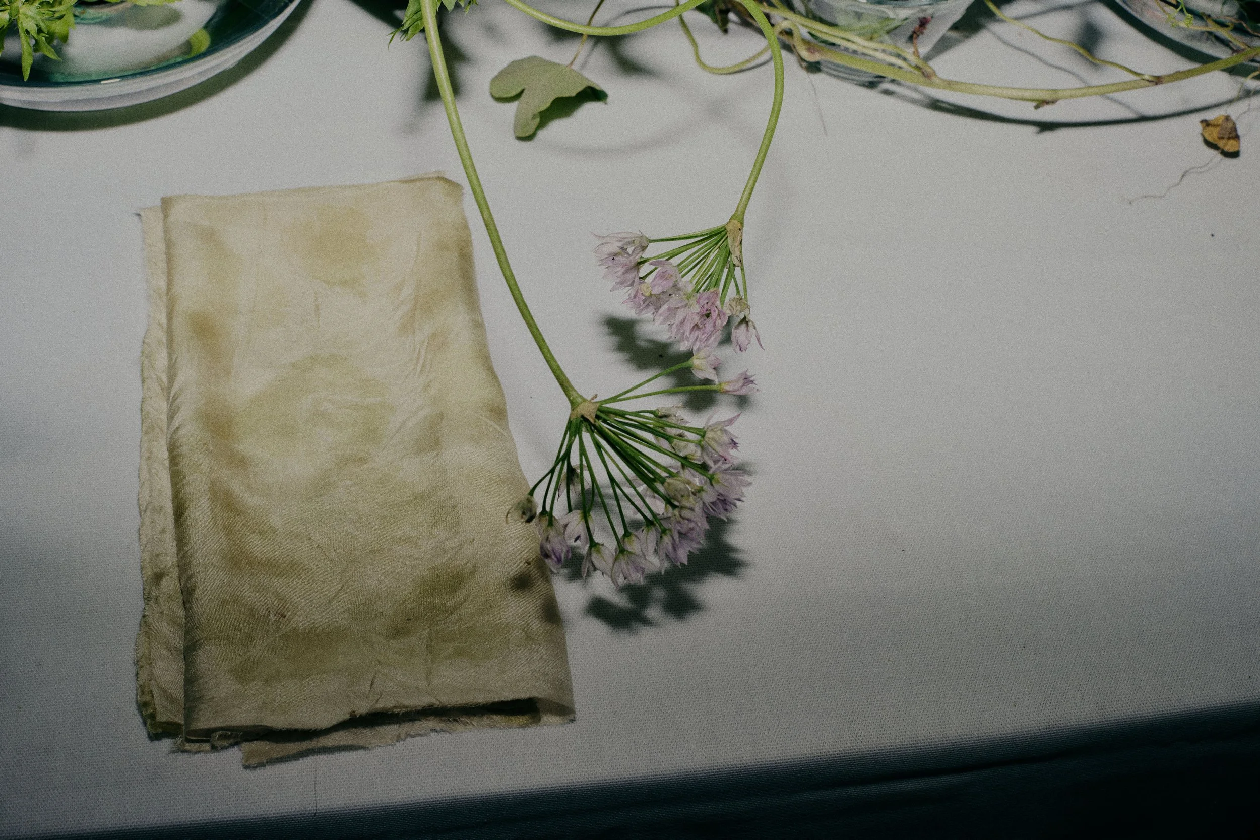261801_FLOWERSONTHEEDGE_TILLYWACE_1216.jpg