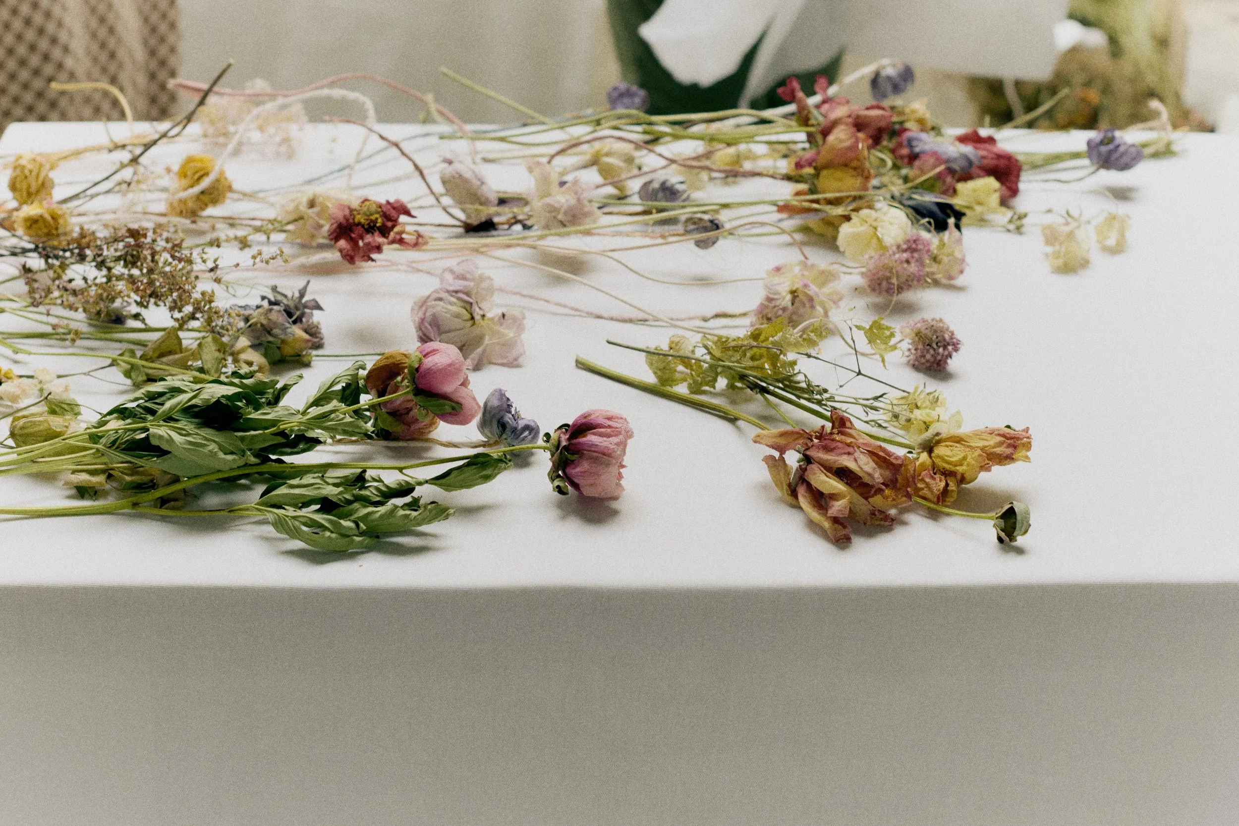 261801_FLOWERSONTHEEDGE_TILLYWACE_0313.jpg