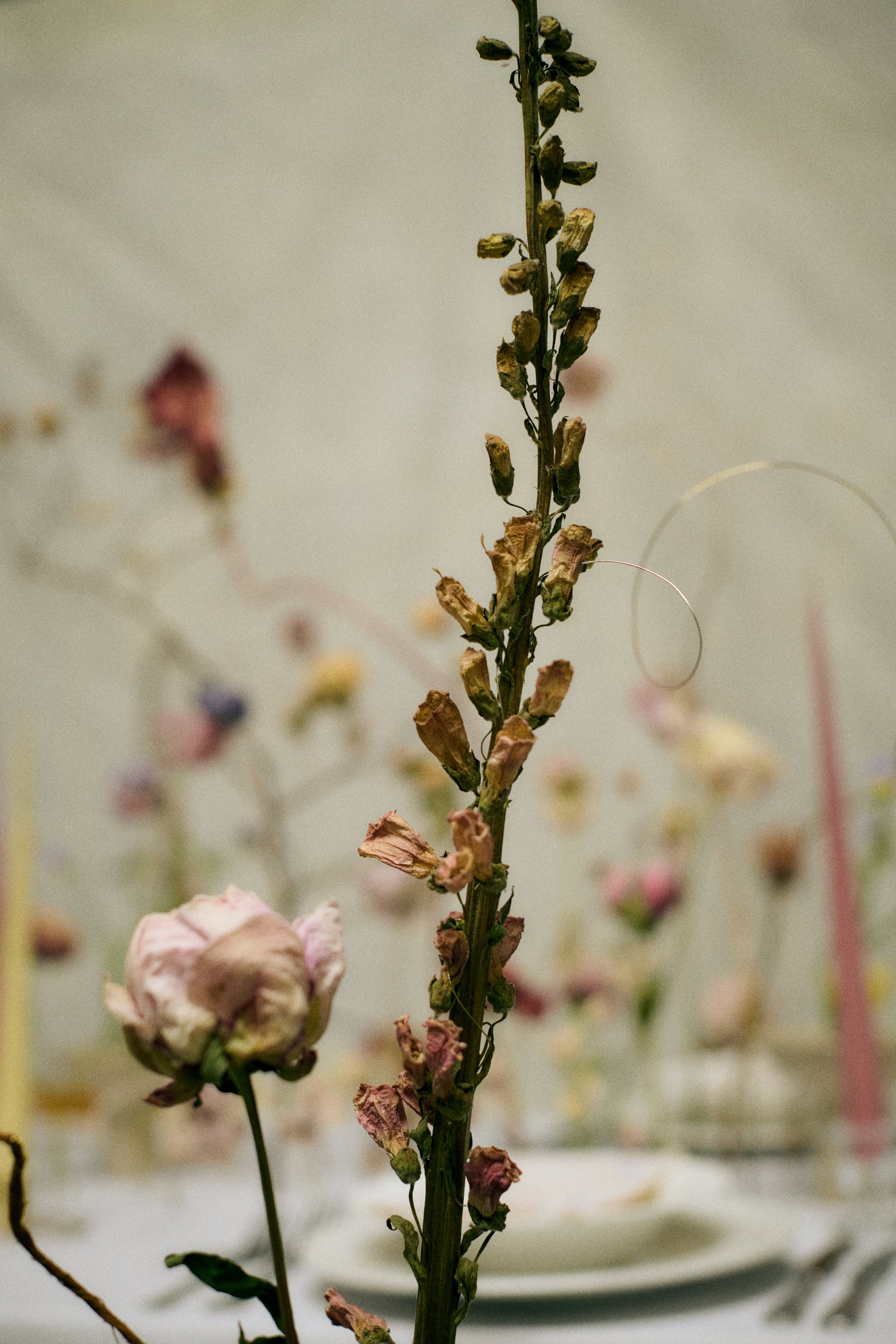 261801_FLOWERSONTHEEDGE_TILLYWACE_1127.jpg