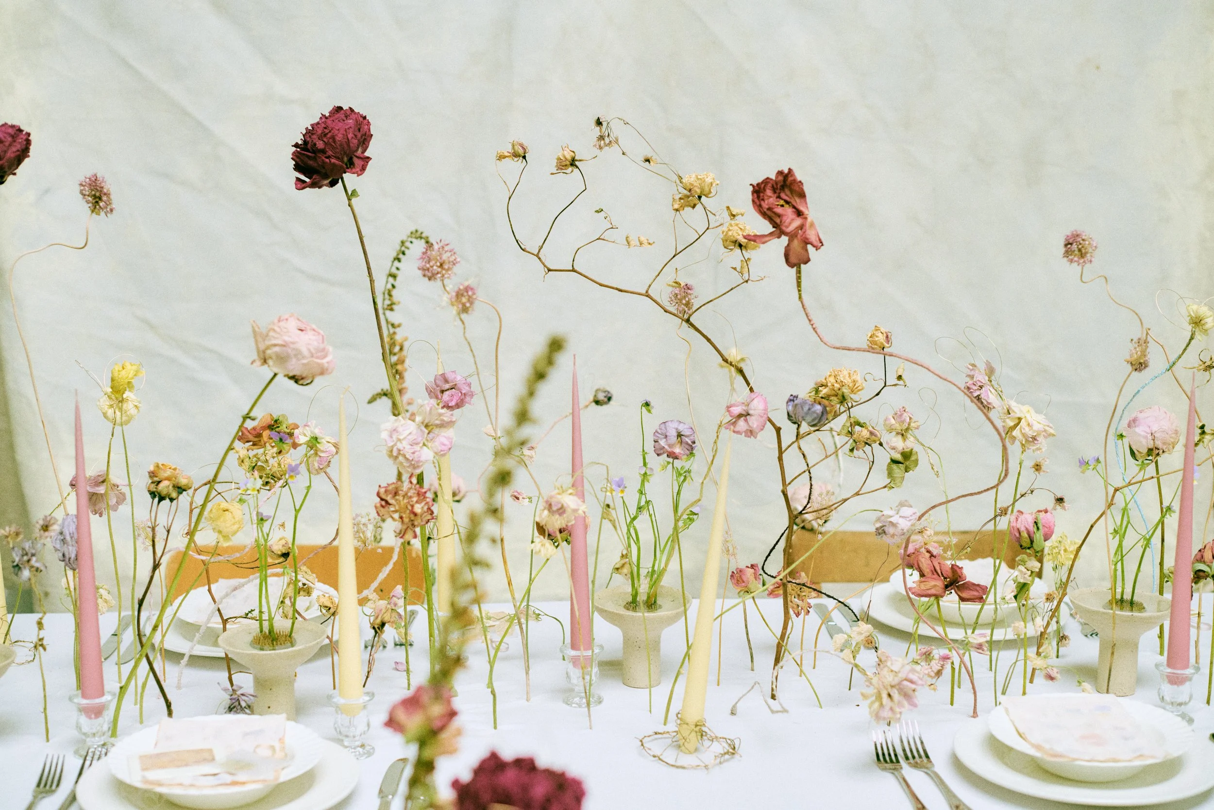 261801_FLOWERSONTHEEDGE_TILLYWACE_1116.jpg