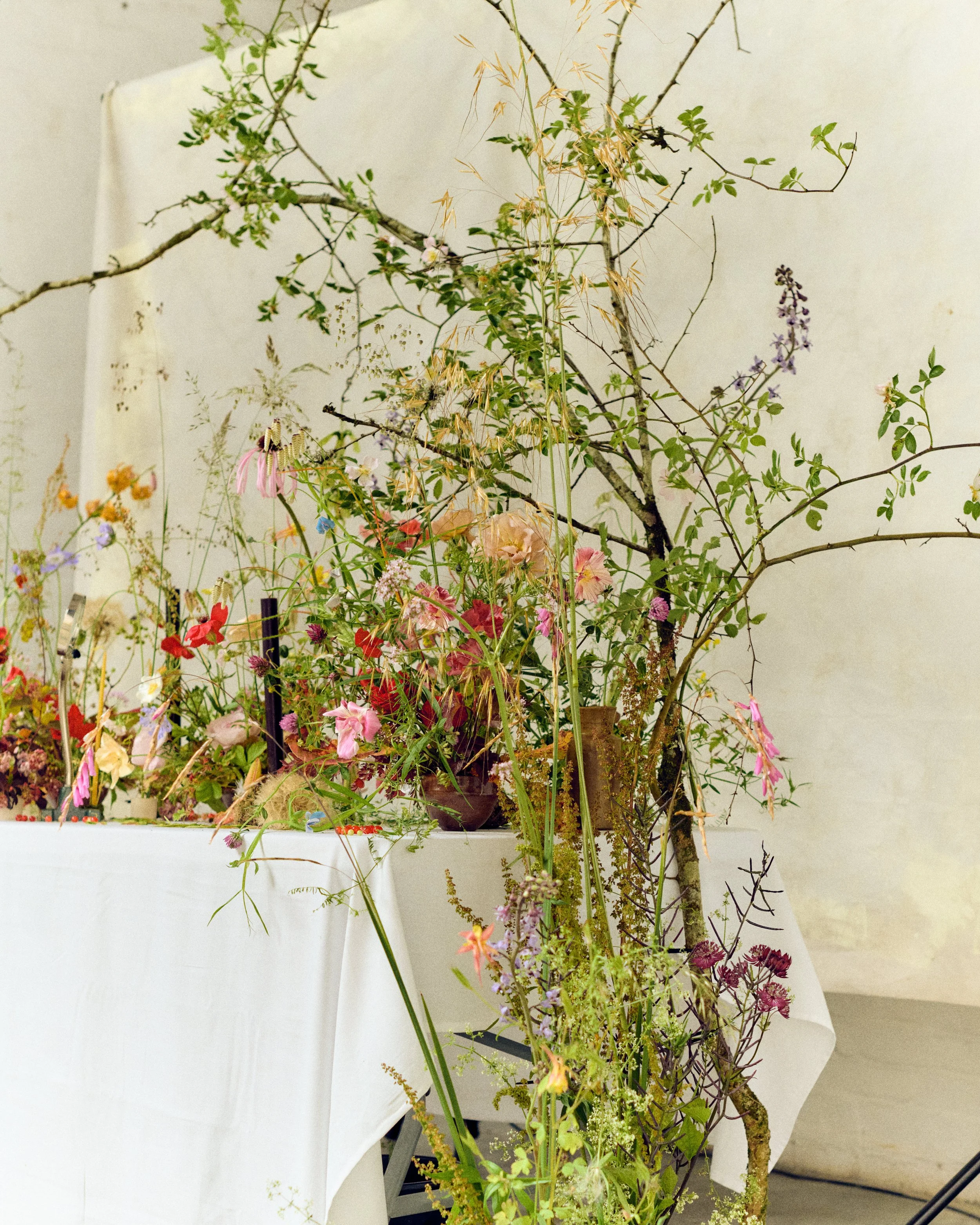 261801_FLOWERSONTHEEDGE_TILLYWACE_1342.jpg