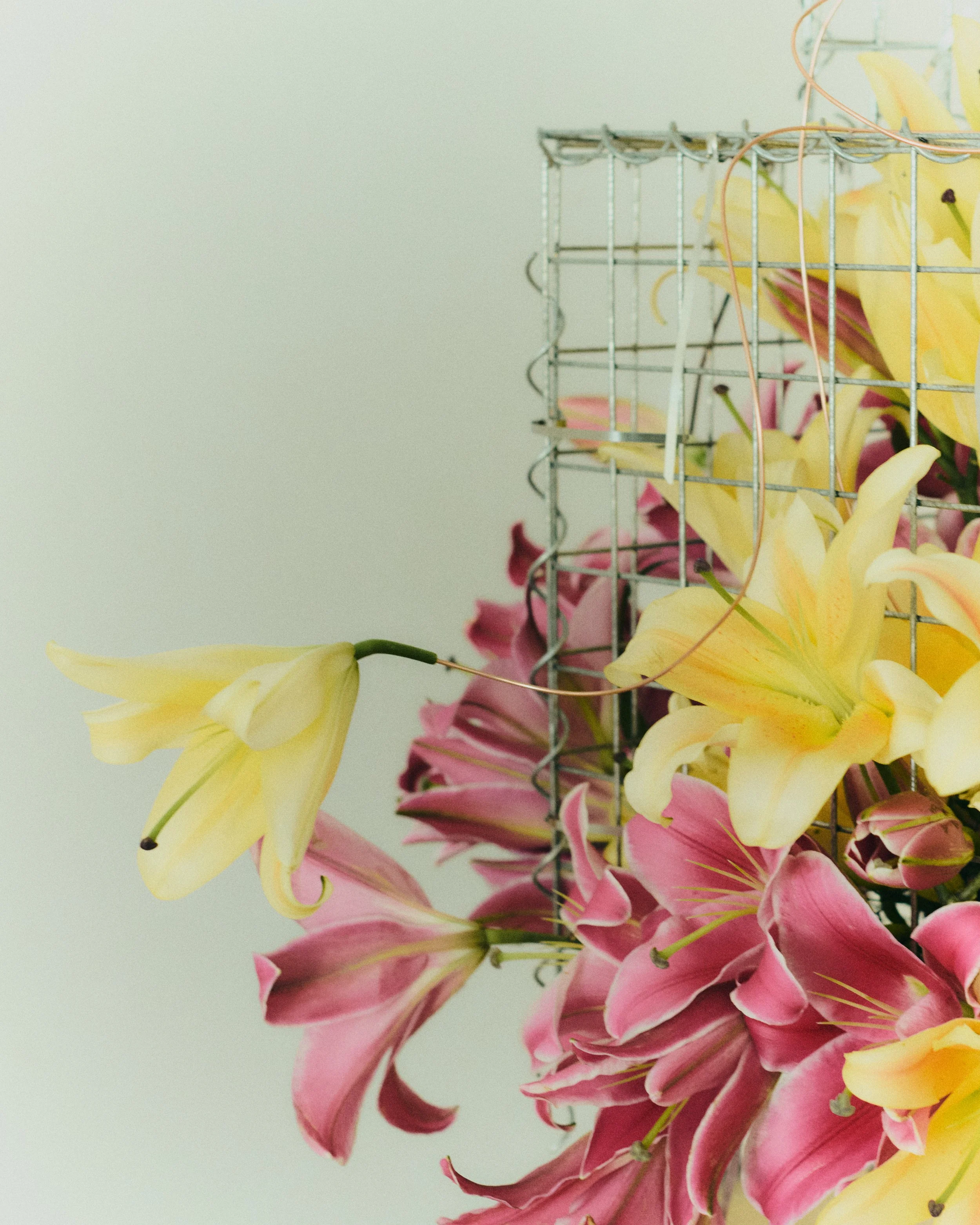 Copy of 259619_FlowersOnTheEdge_0950.jpg