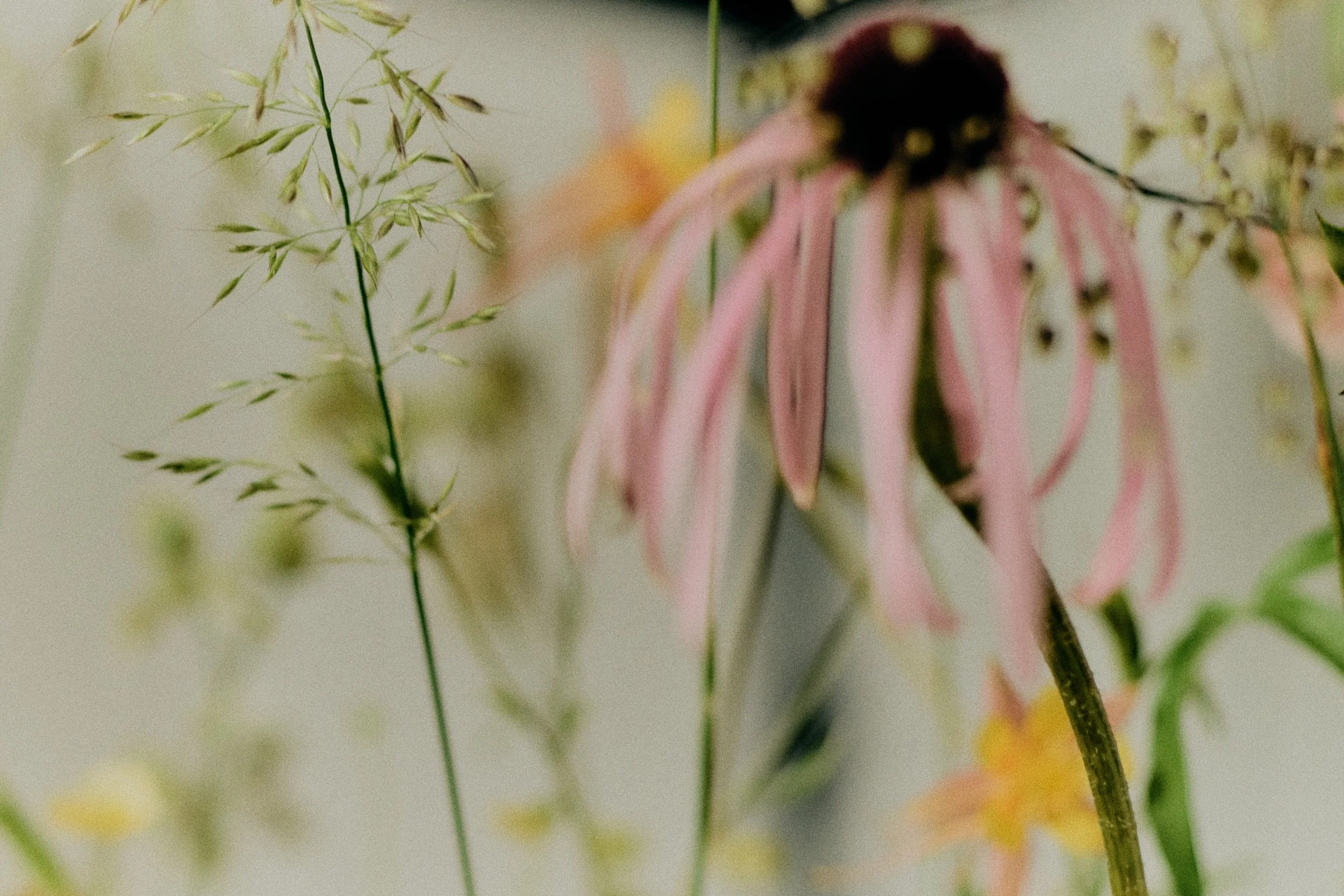 261801_FLOWERSONTHEEDGE_TILLYWACE_1402.jpg