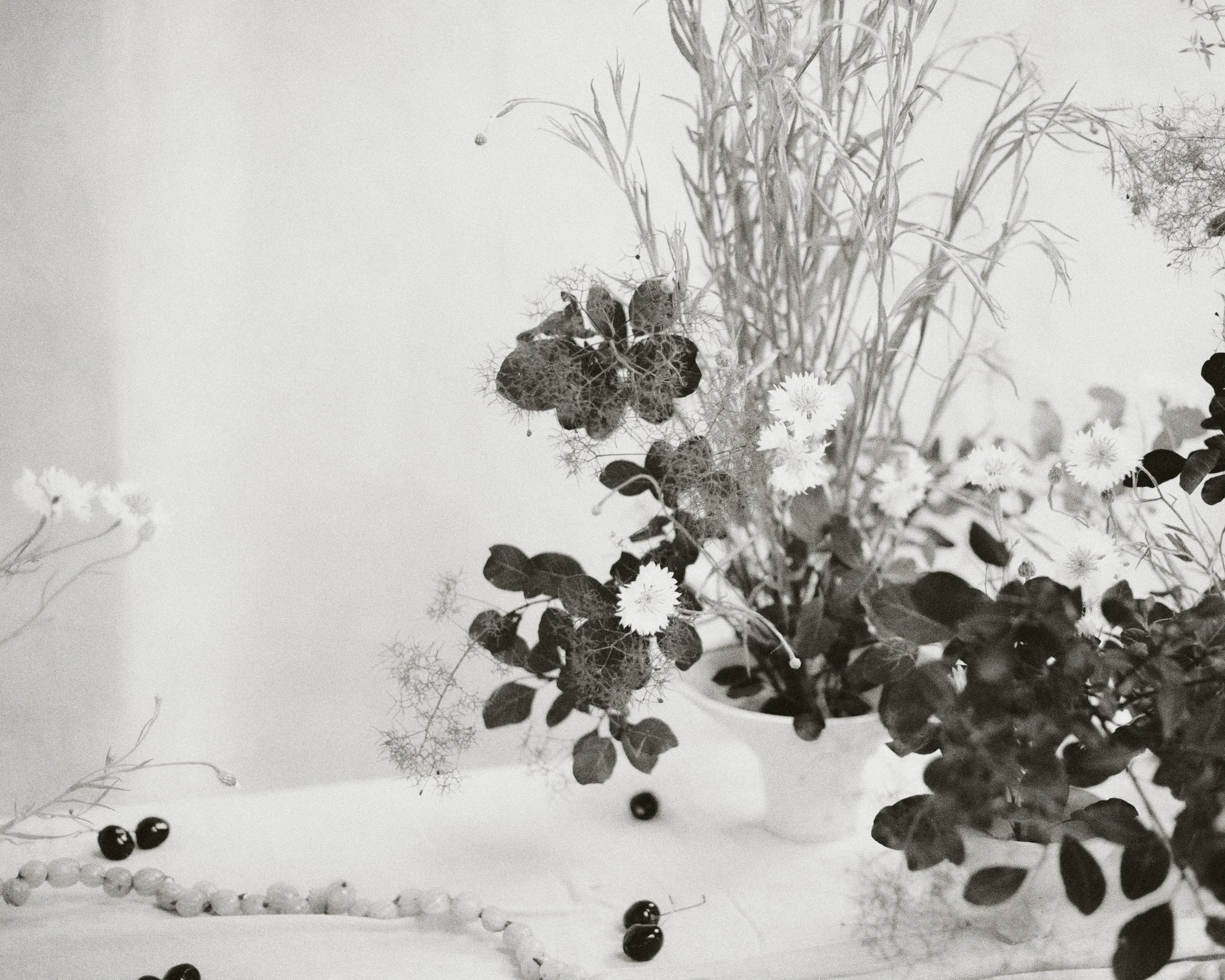 261801_FLOWERSONTHEEDGE_TILLYWACE_1613.jpg