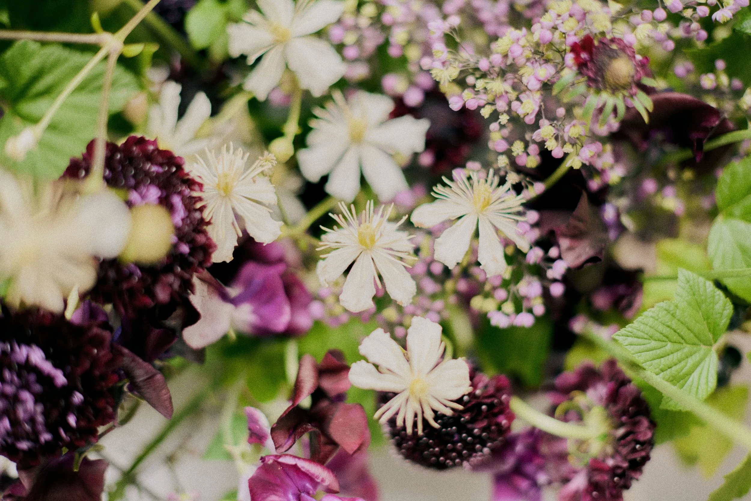 261801_FLOWERSONTHEEDGE_TILLYWACE_1658.jpg