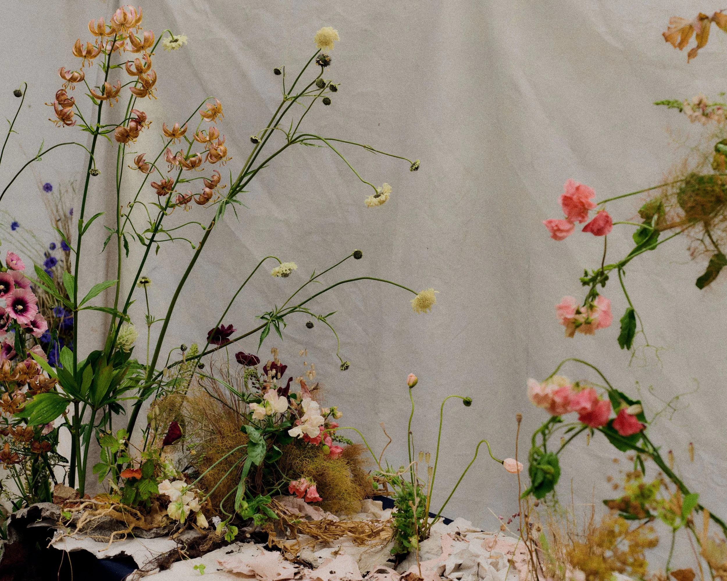 261801_FLOWERSONTHEEDGE_TILLYWACE_0915.jpg