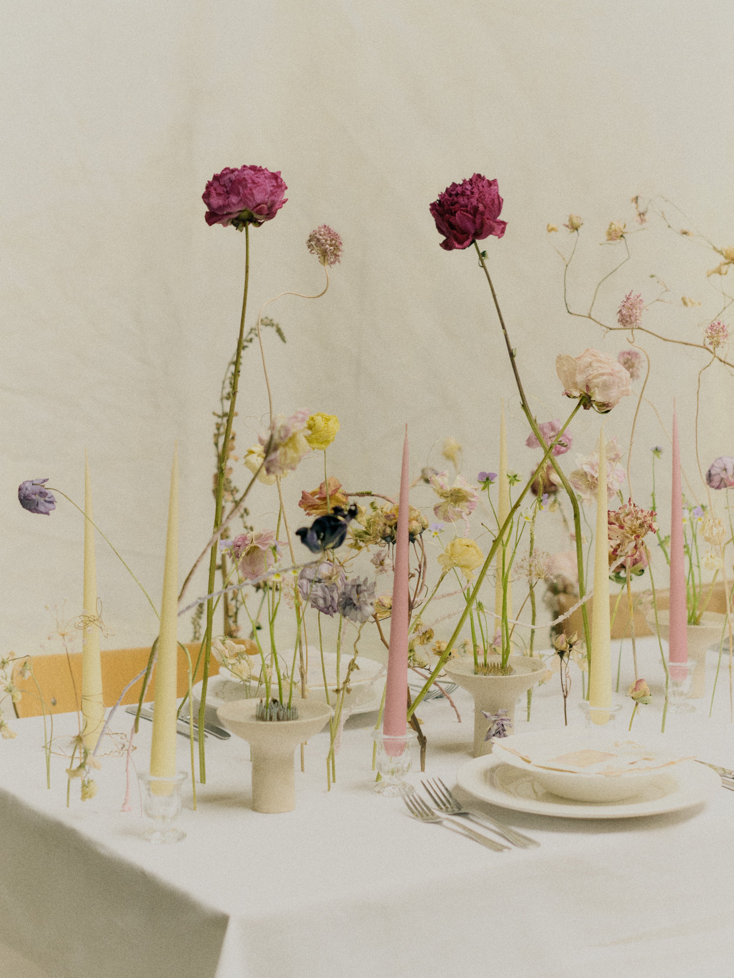 261801_FLOWERSONTHEEDGE_TILLYWACE_1122.jpg