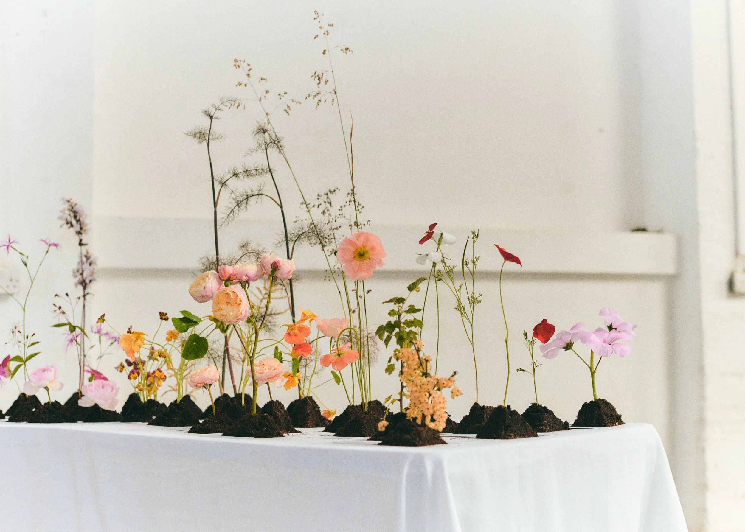 261801_FLOWERSONTHEEDGE_TILLYWACE_1231.jpg