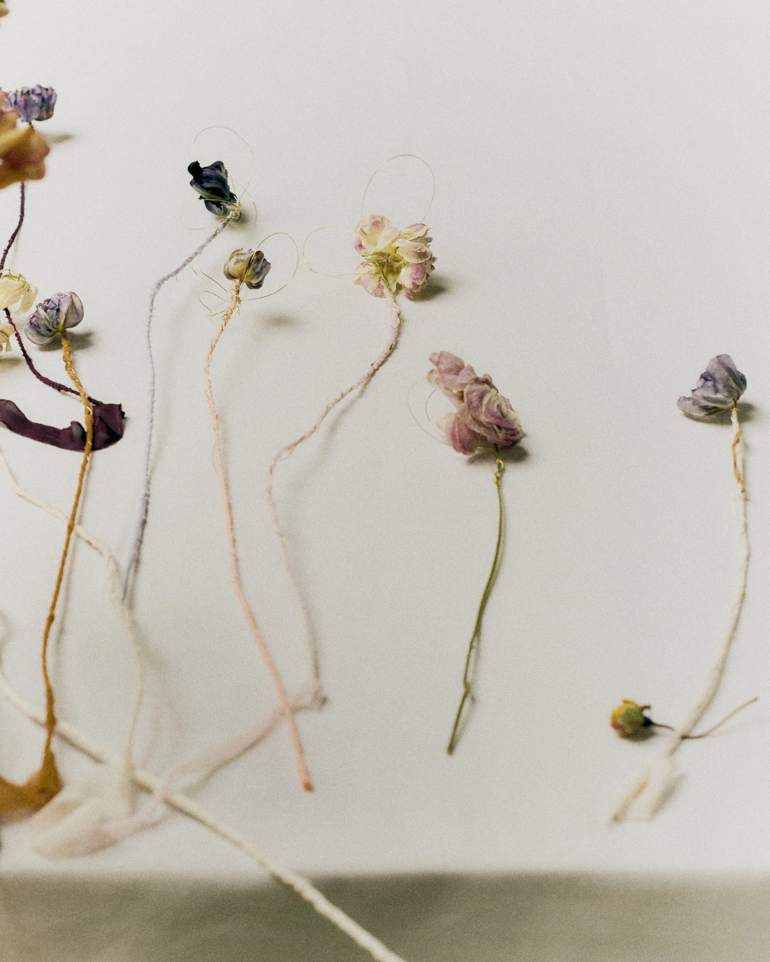 261801_FLOWERSONTHEEDGE_TILLYWACE_0307.jpg