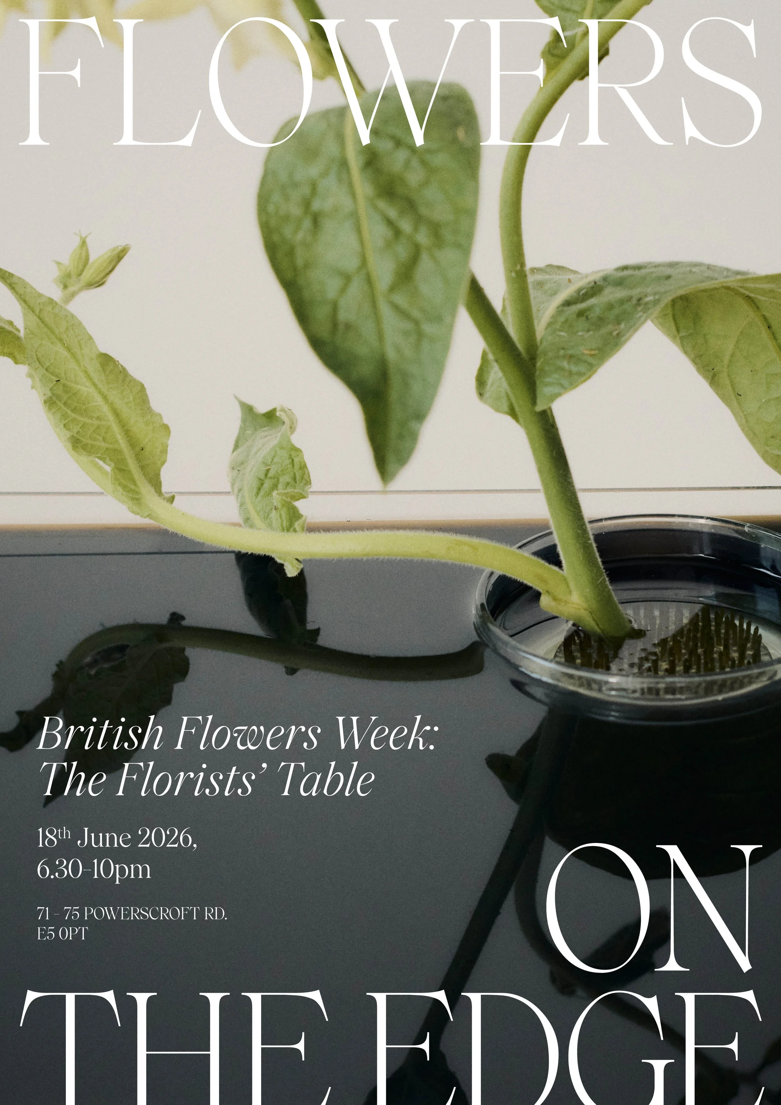 The Florists' Table - Supper Club & Panel Event (6.30-10pm)