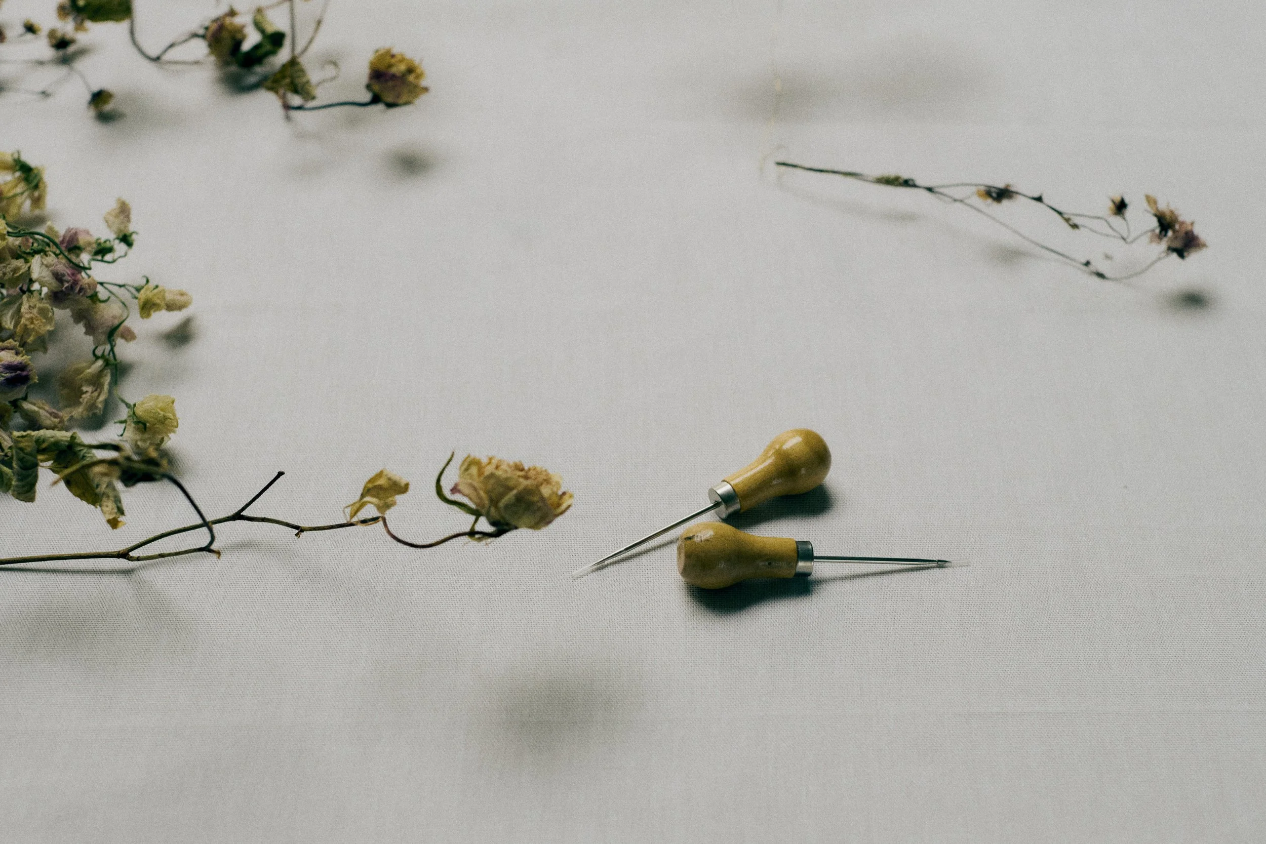261801_FLOWERSONTHEEDGE_TILLYWACE_0319.jpg