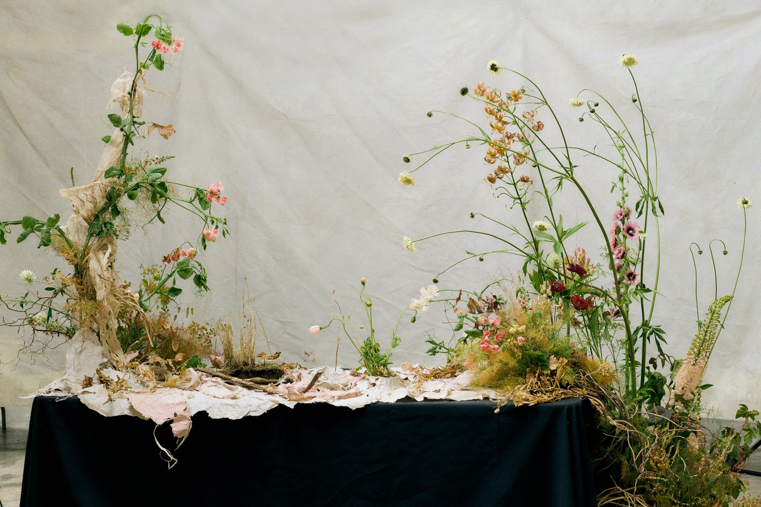 Fiona Pickles Artist & Ochre Botanical Studio