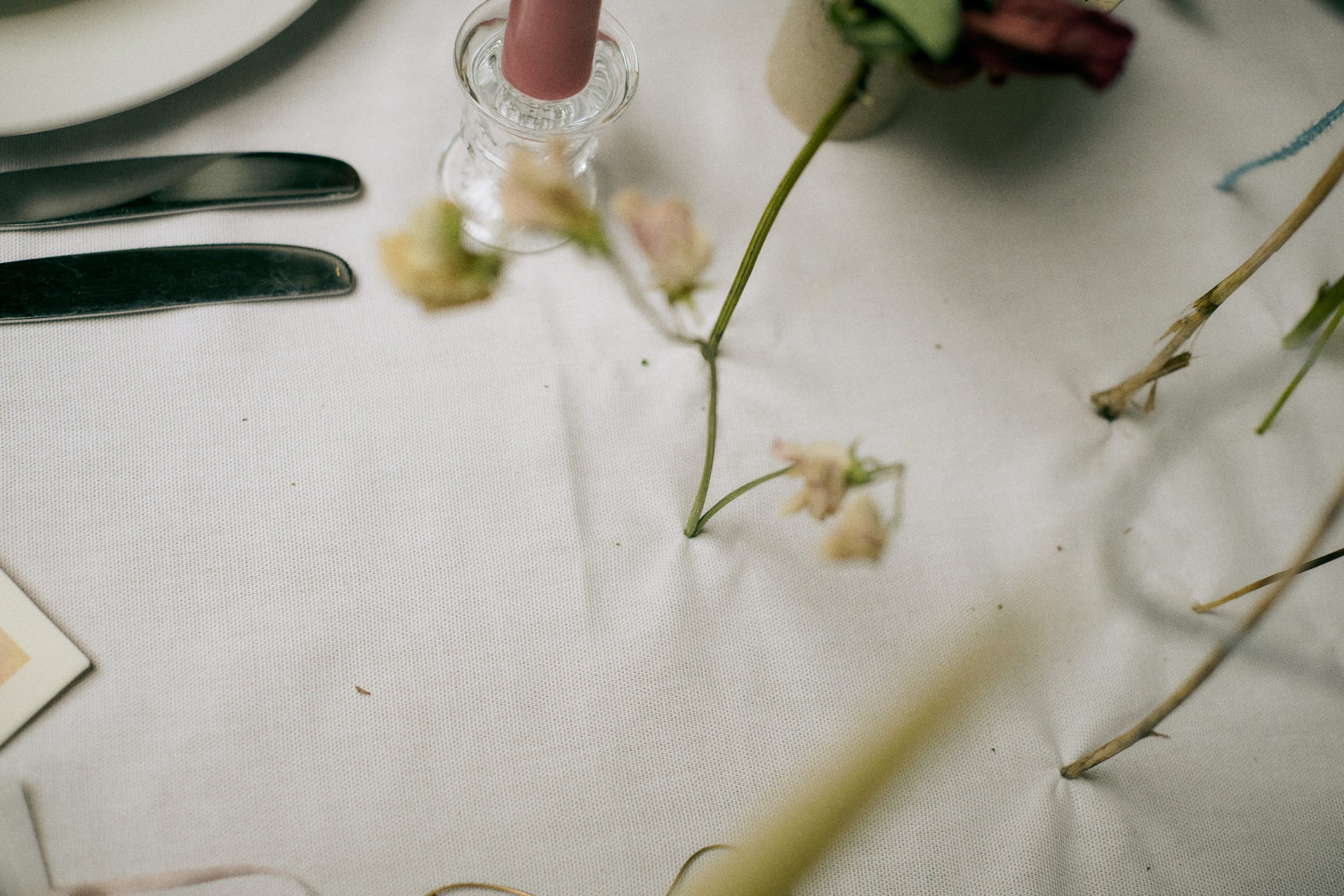 261801_FLOWERSONTHEEDGE_TILLYWACE_1138.jpg