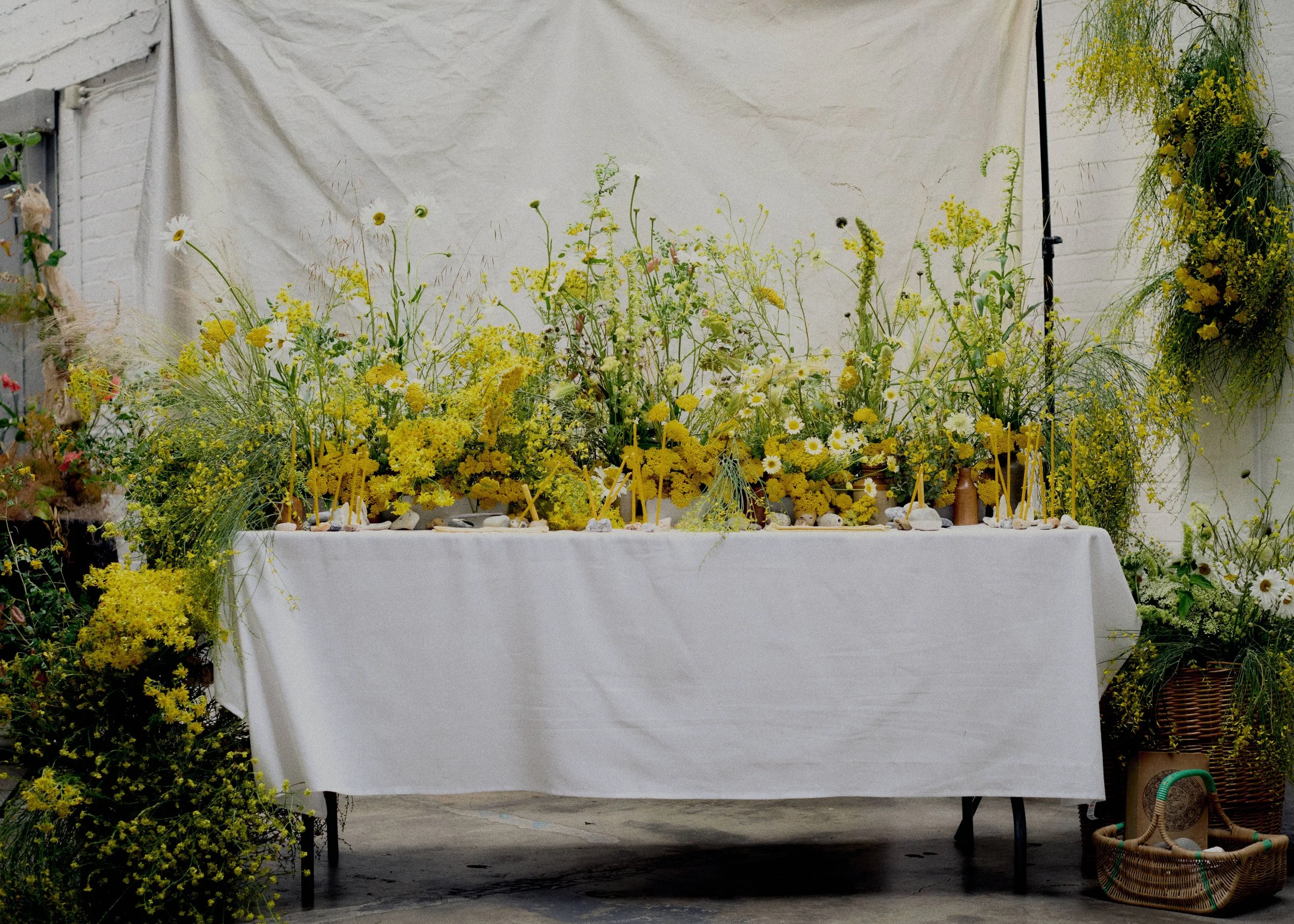 Bria Studio & Flower and Land