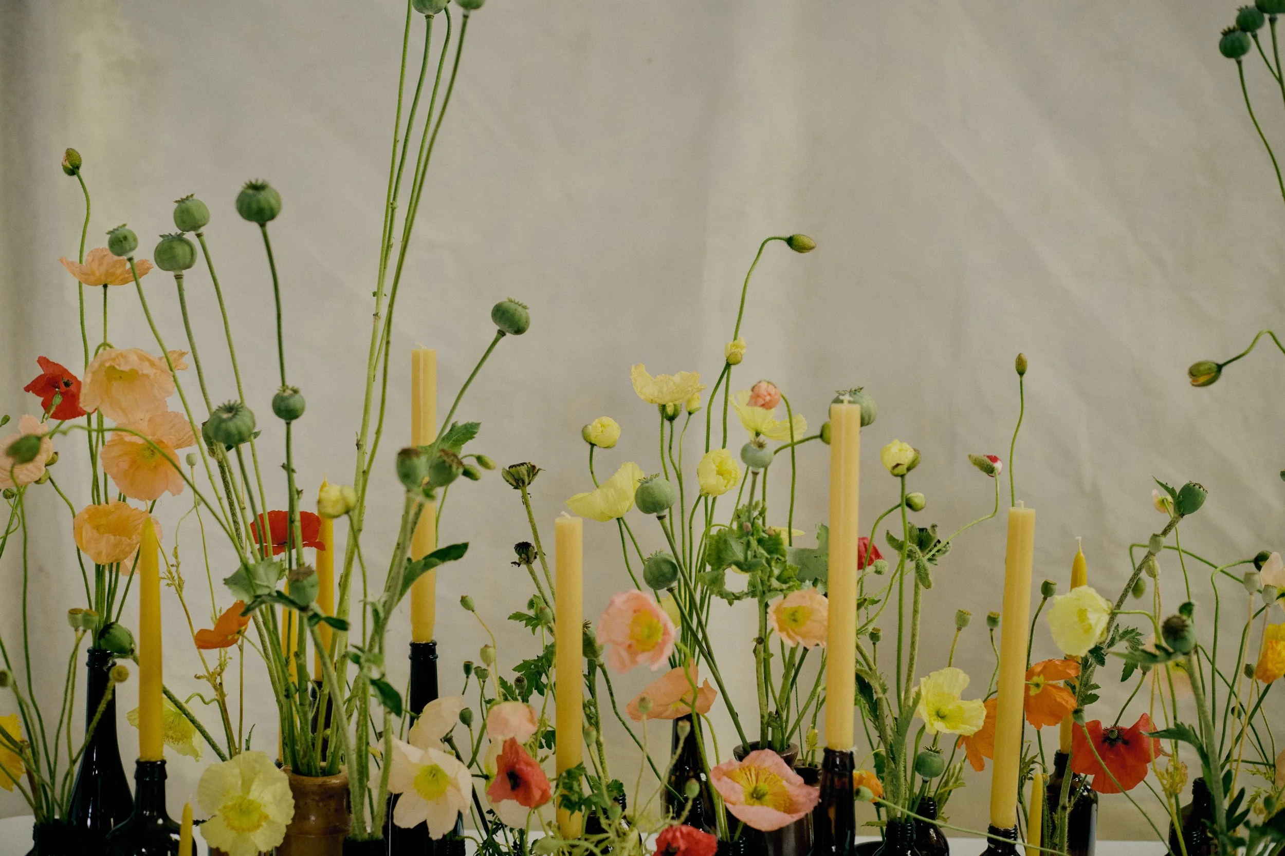 261801_FLOWERSONTHEEDGE_TILLYWACE_1695.jpg