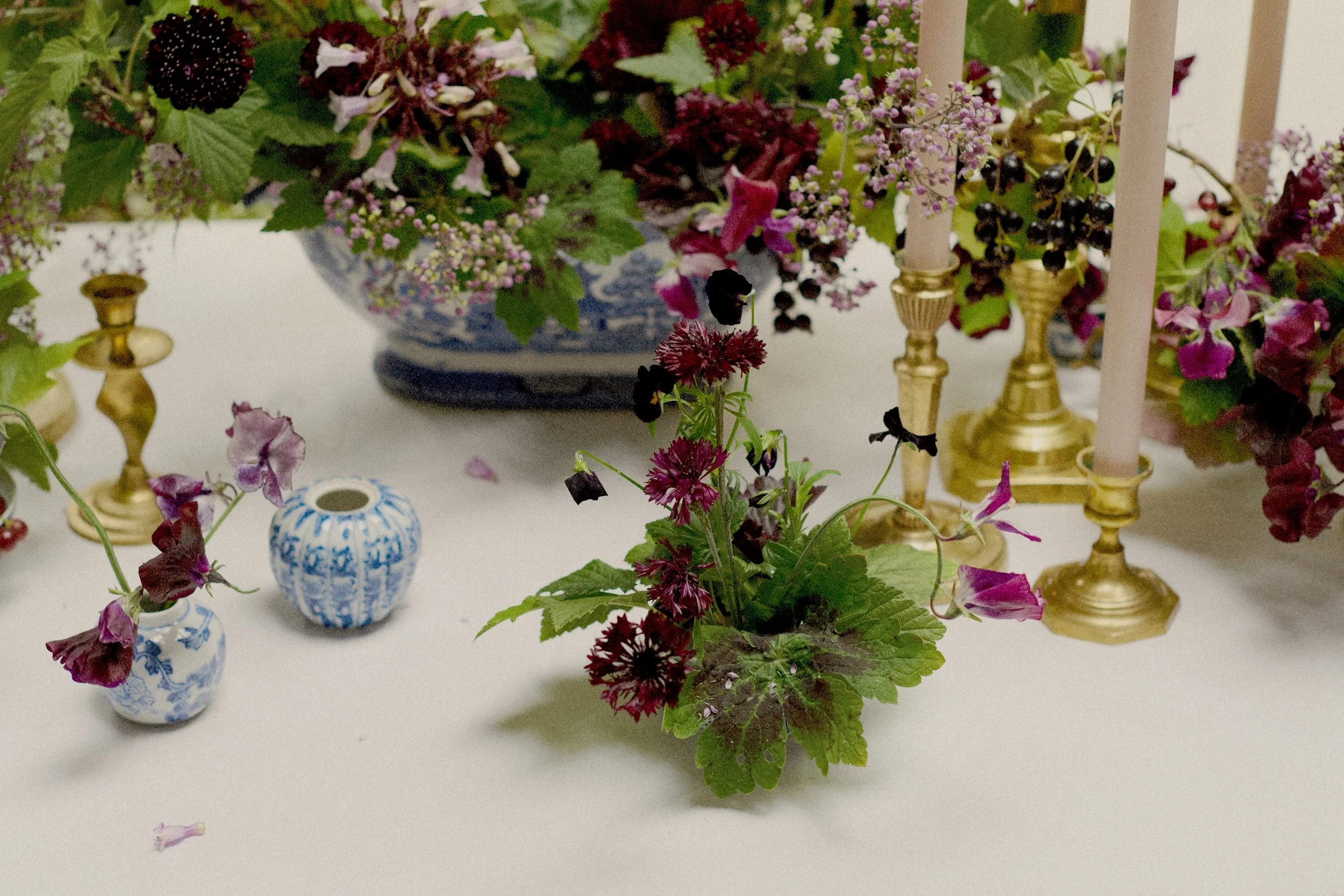 261801_FLOWERSONTHEEDGE_TILLYWACE_0441 1.jpeg