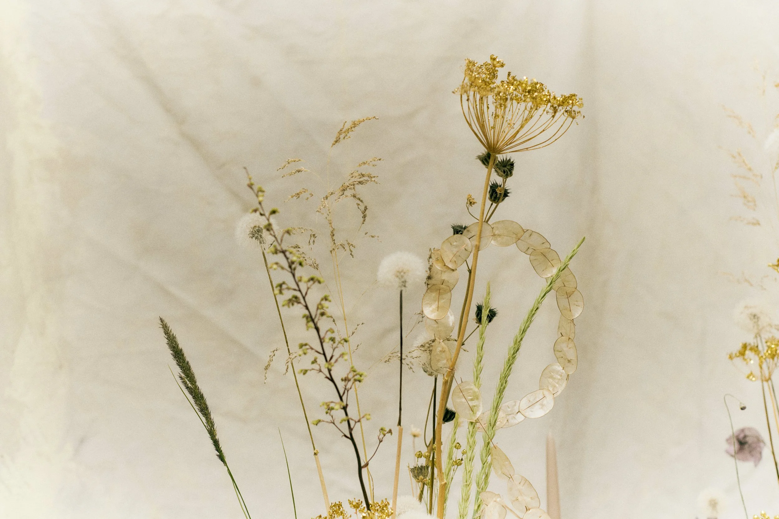 261801_FLOWERSONTHEEDGE_TILLYWACE_1374.jpg