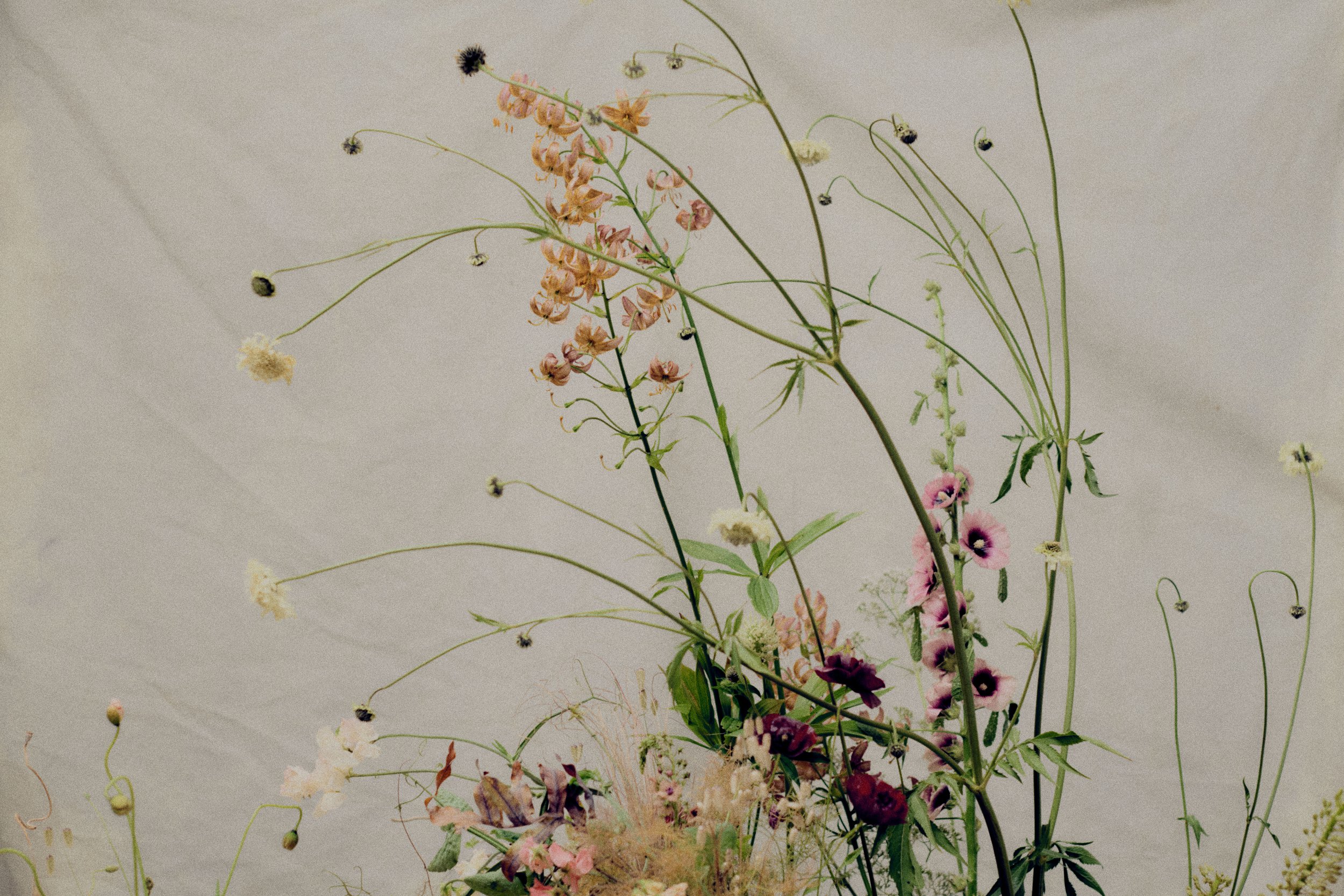 261801_FLOWERSONTHEEDGE_TILLYWACE_0885 1.jpg