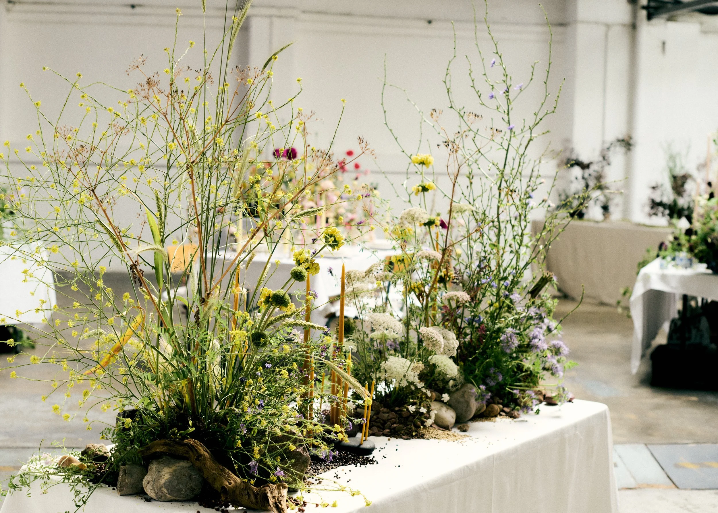 261801_FLOWERSONTHEEDGE_TILLYWACE_1307.jpg