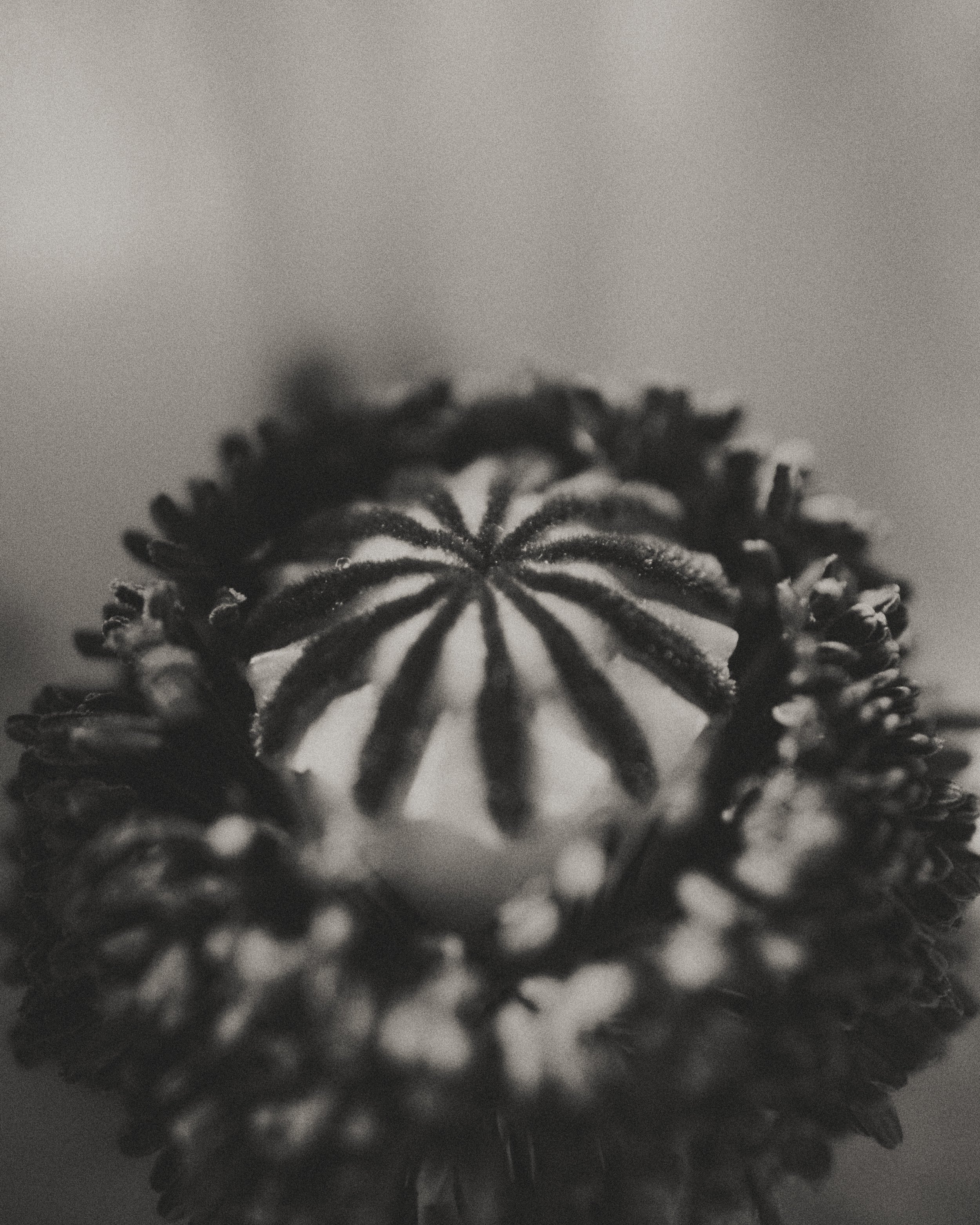 261801_FLOWERSONTHEEDGE_TILLYWACE_0585.jpg