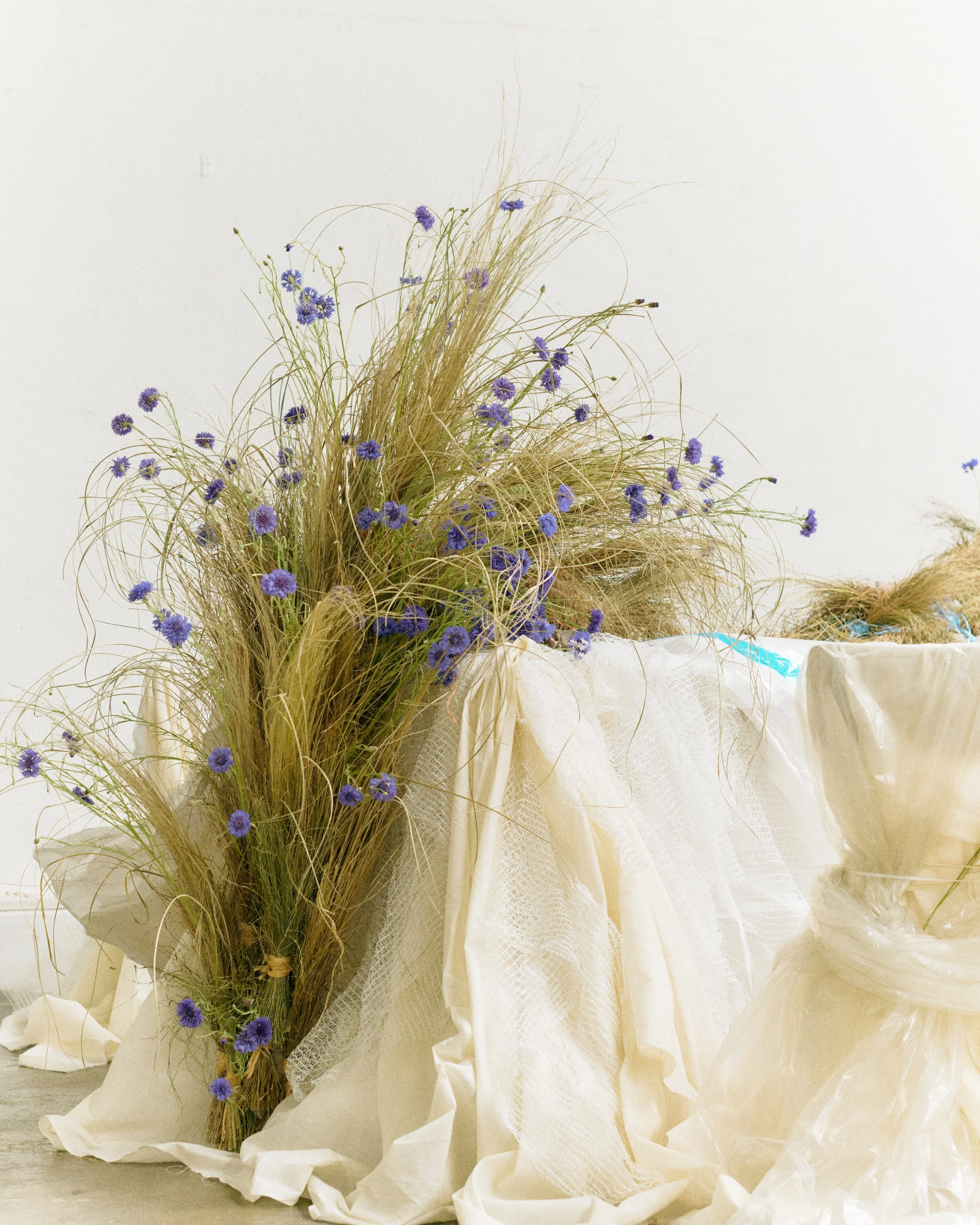 261801_FLOWERSONTHEEDGE_TILLYWACE_0863.jpg