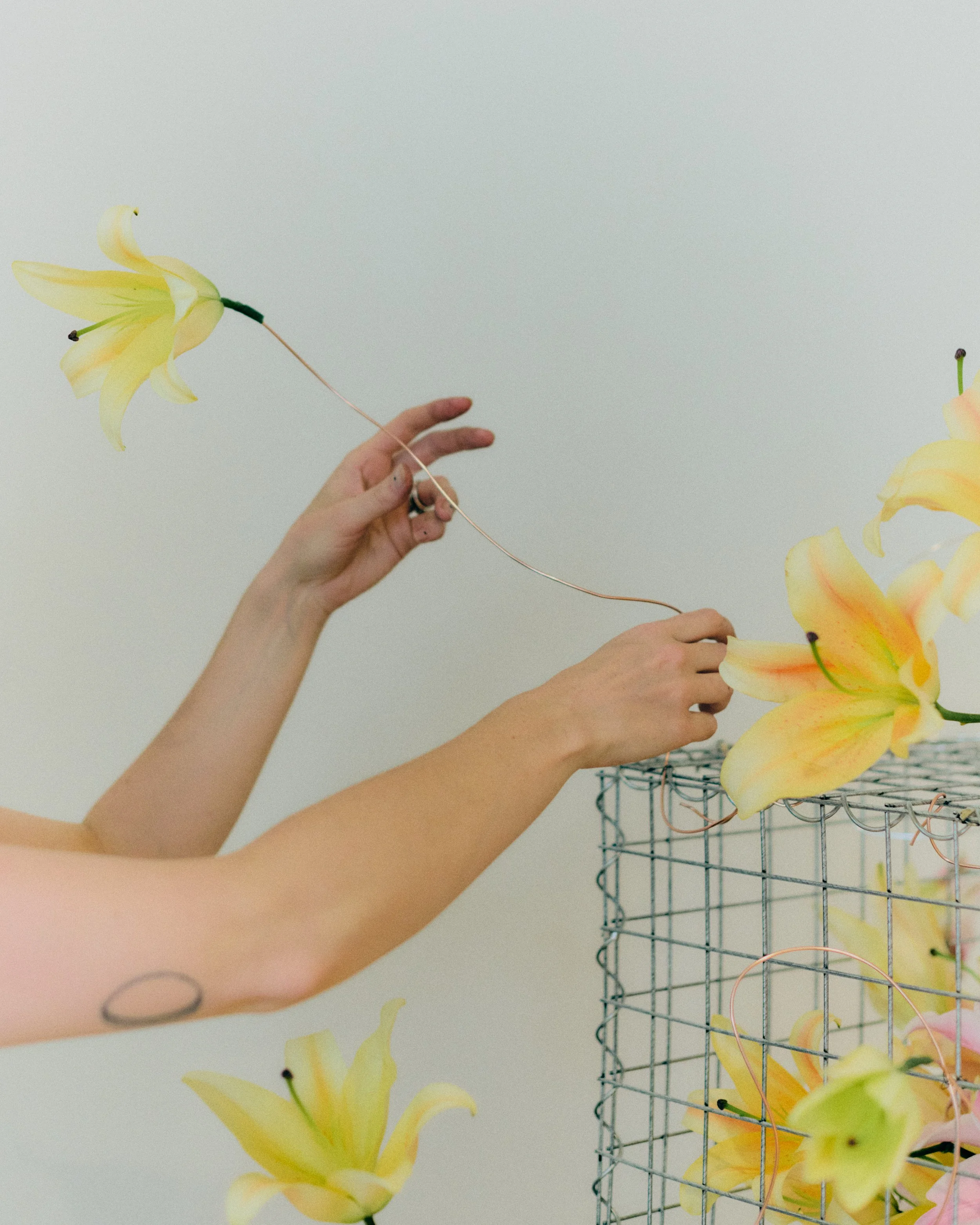 Copy of 259619_FlowersOnTheEdge_0873.jpg