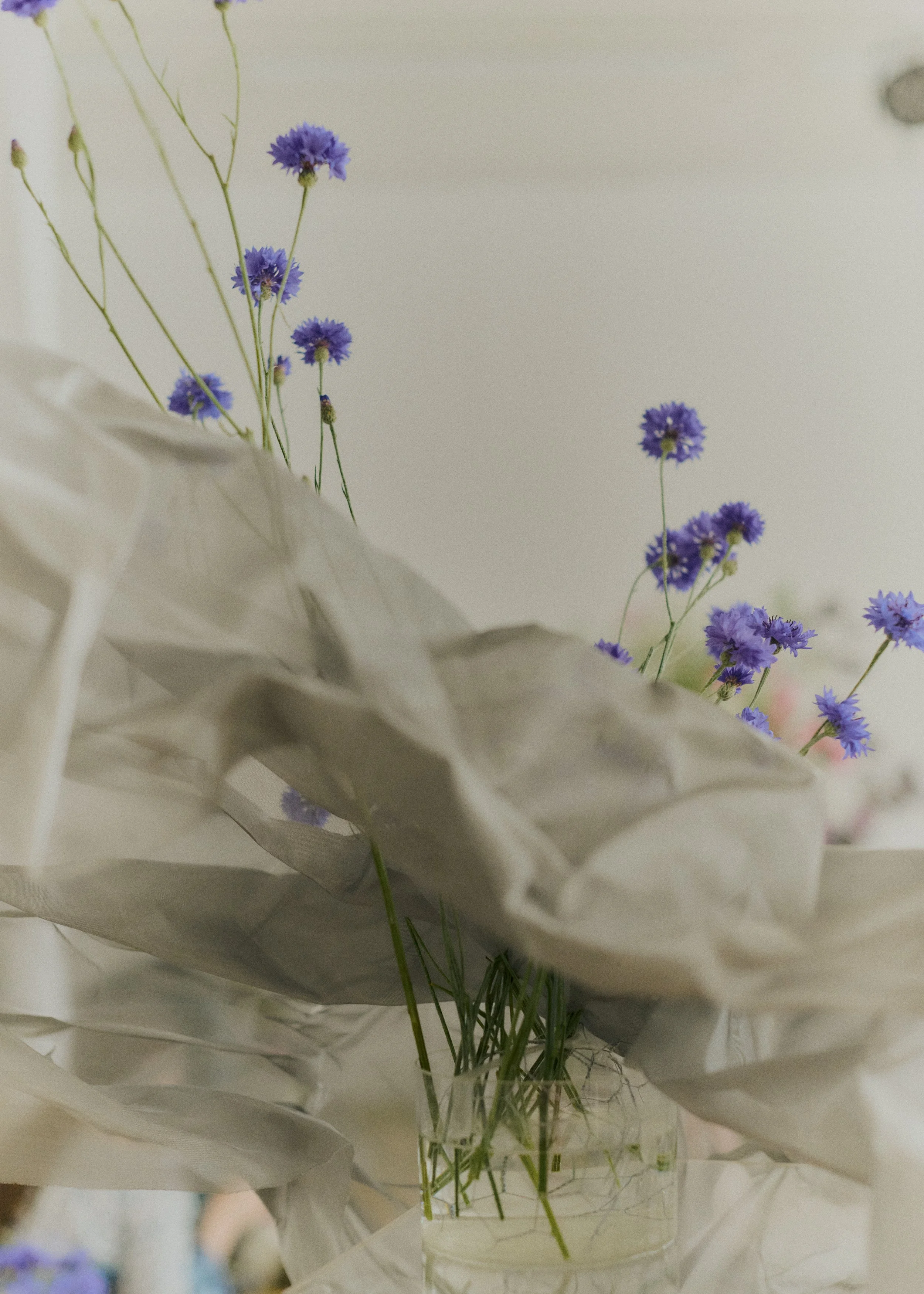 Copy of 259619_FlowersOnTheEdge_0466.jpg