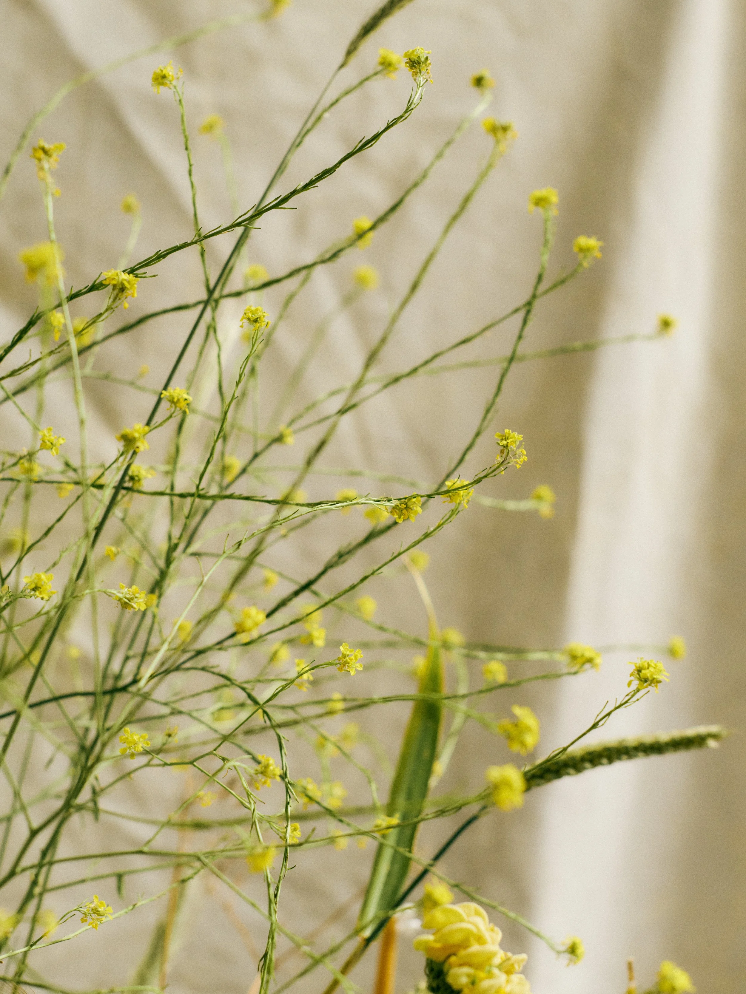 261801_FLOWERSONTHEEDGE_TILLYWACE_1320.jpg